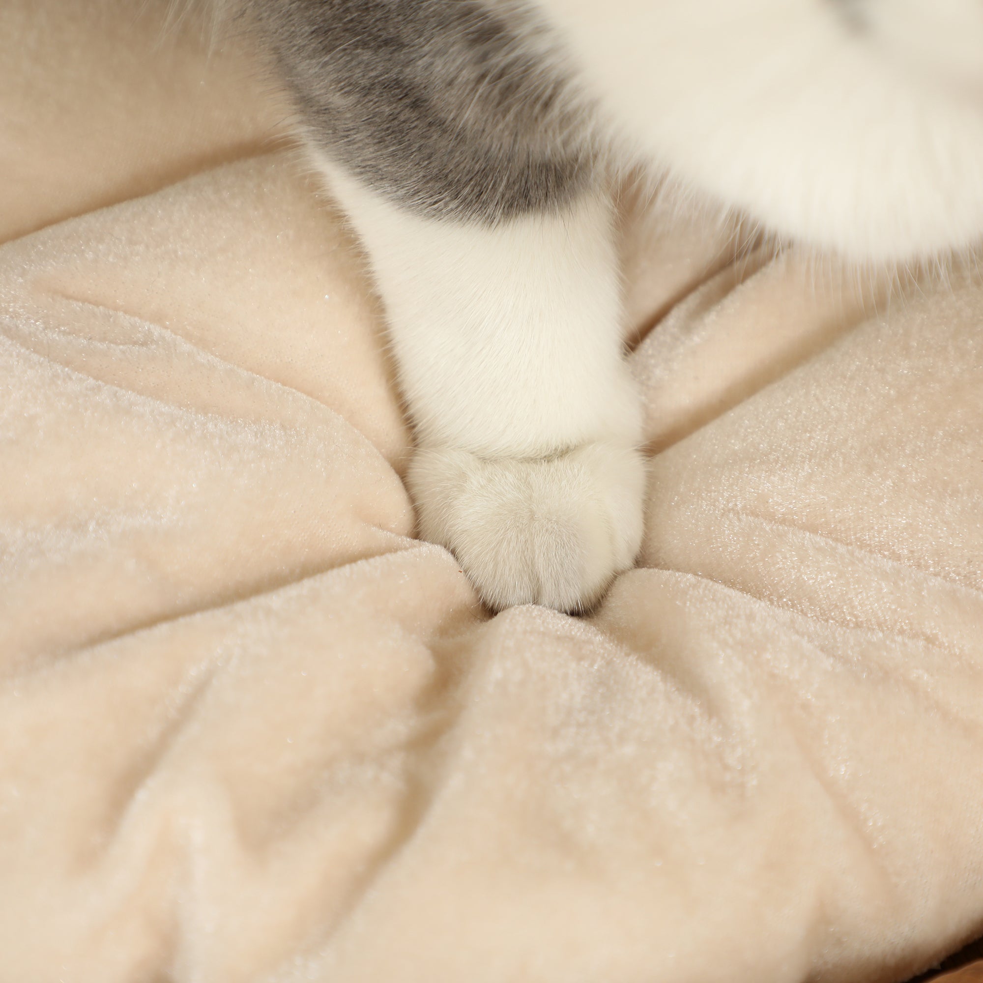 PawHut Kratztonne, 50 cm, 2 Höhlen, Kissen, Kratzbaum mit Katzenbett, Katzenturm aus Wasserhyazinthe, Hellbraun