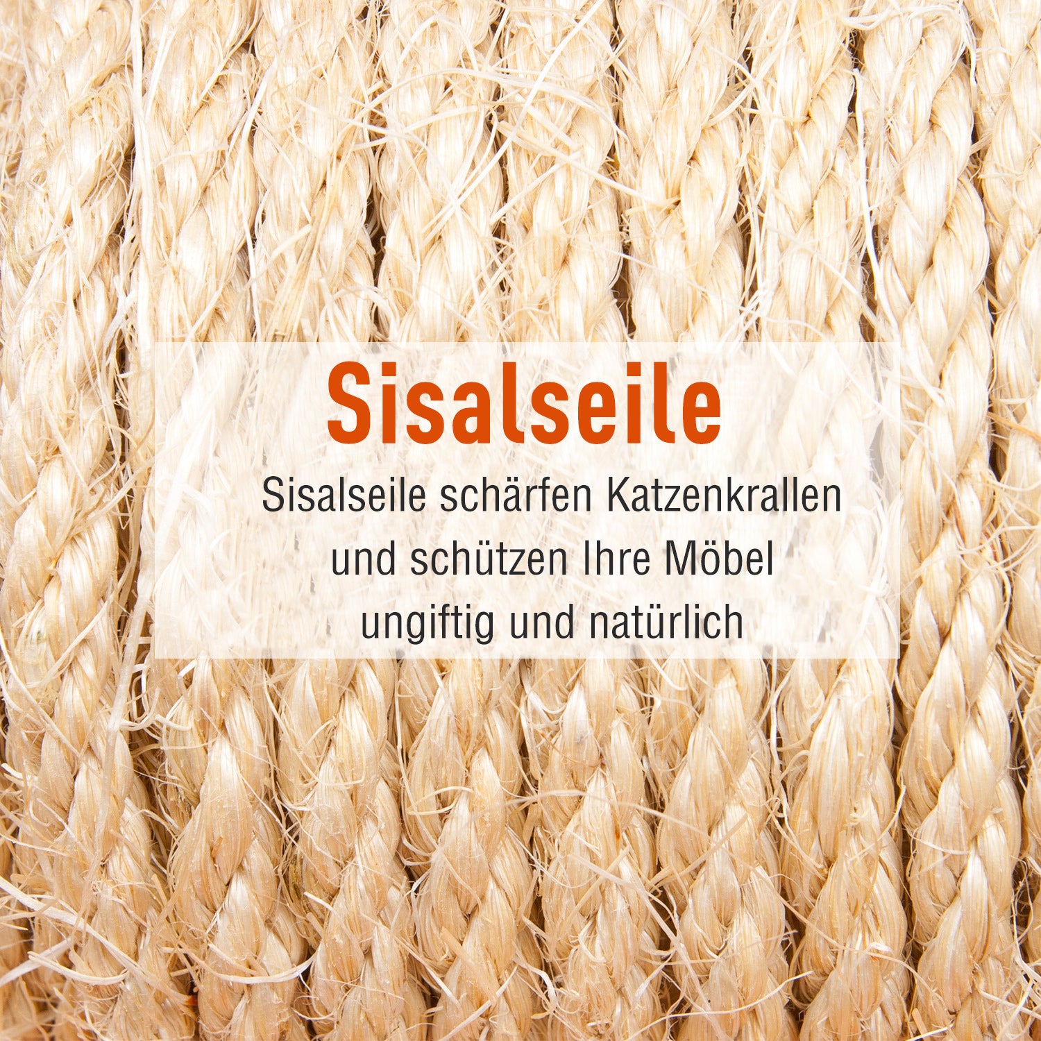 PawHut Kratzbaum mit Katzenhöhle Leiter XXL Katzenbaum Kletterbaum Kletterbaum für Katzen Mehrstufiges Multiaktivitätszentrum Plüsch Grau 49 x 49 x 173 cm