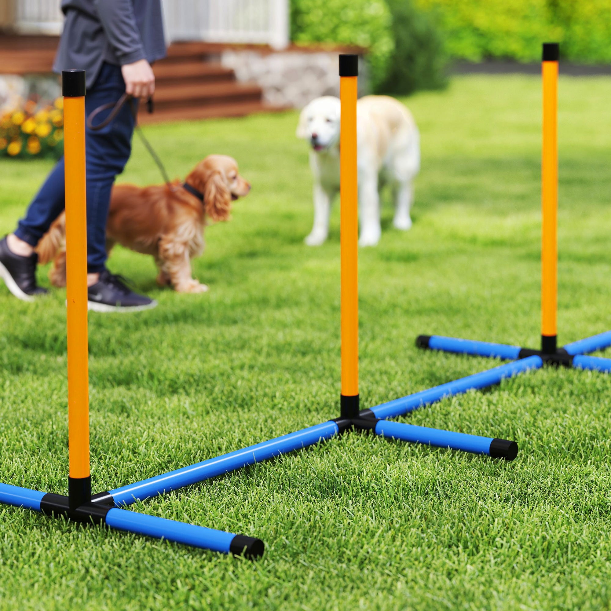 PawHut Agility Set Hunde 7-teilig Agility-Ausrüstung für Hundetraining Steckhürdenset für Spiele Training