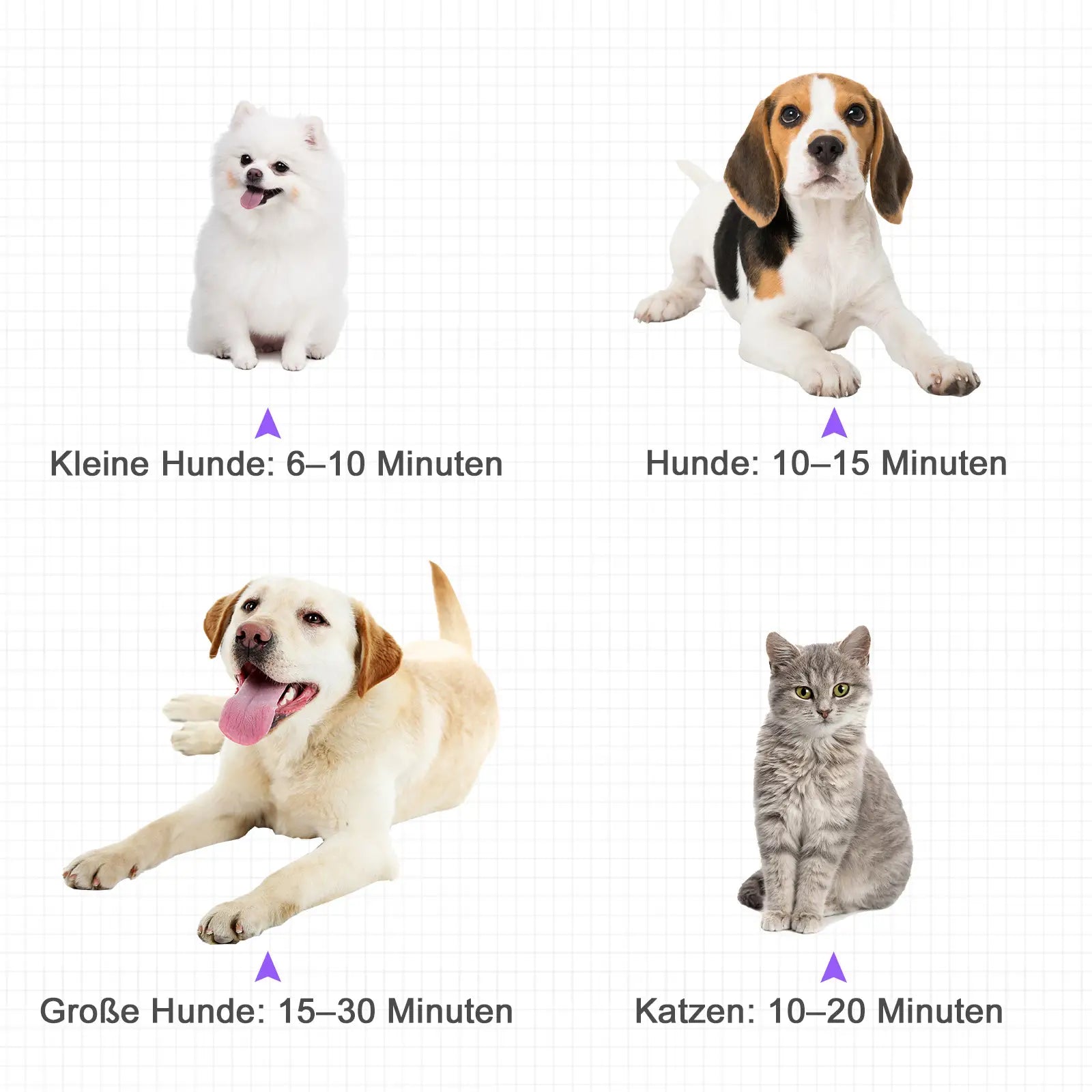 PawHut Hundefön 2800W leise stufenlos einstellbar