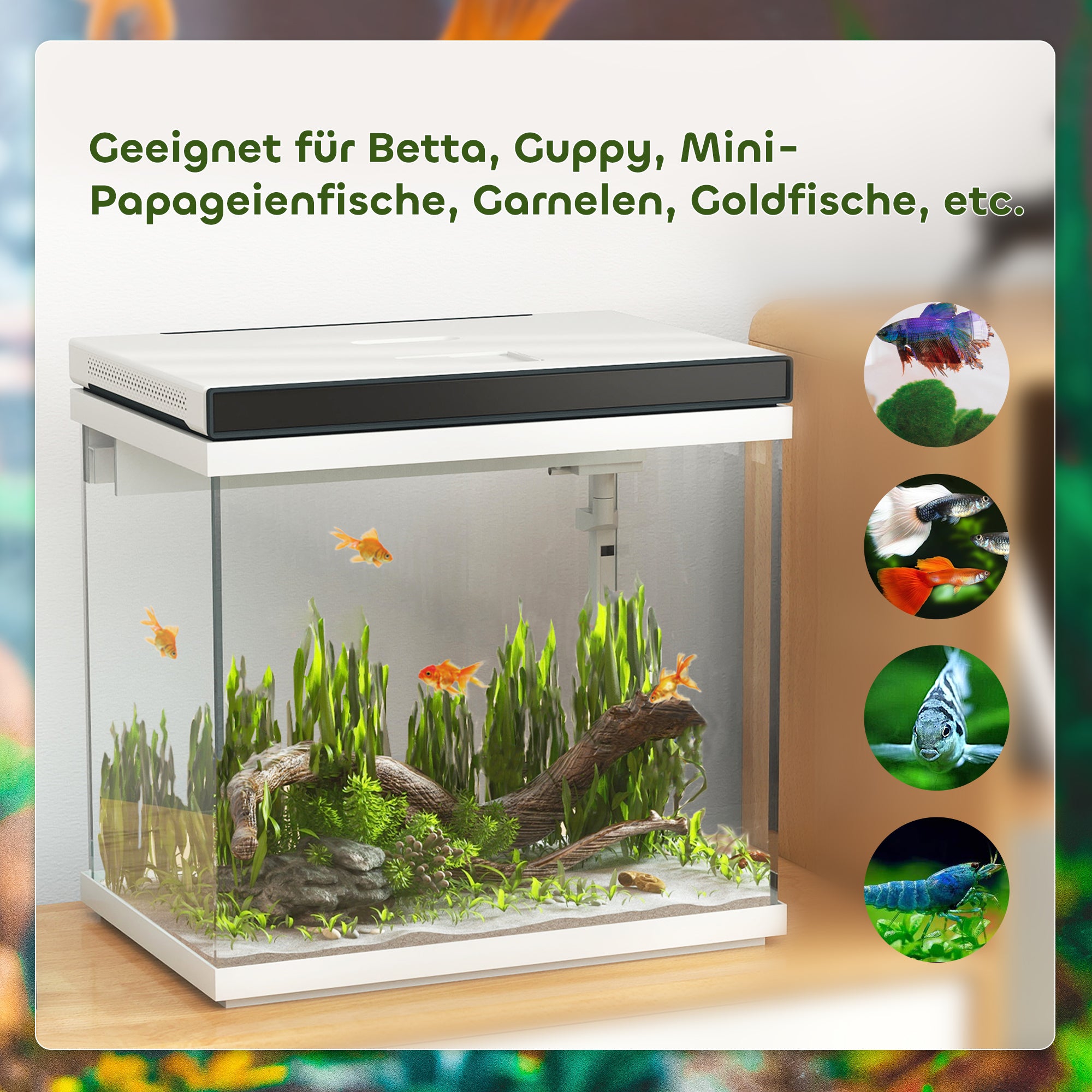 PawHut 26 Liter Aquarium mit Filter, LED-Beleuchtung, Wasserpumpe, für verschiedene Fischarten, ca. 38 x 26 x 38 cm