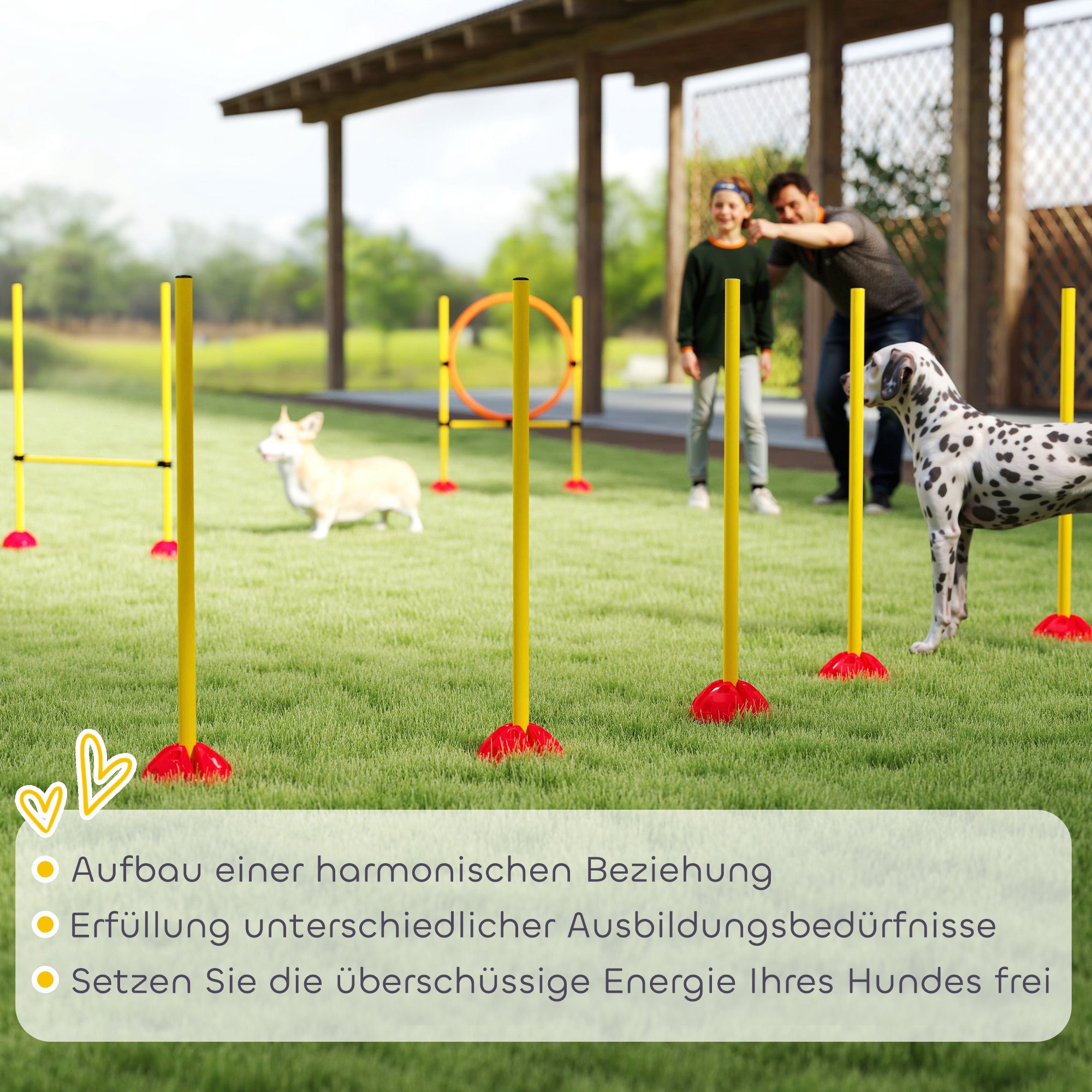 PawHut Agility Set Hunde 3-teiliges befüllbar Agility-Ausrüstung für Hundetraining Steckhürdenset mit Slalomstangen