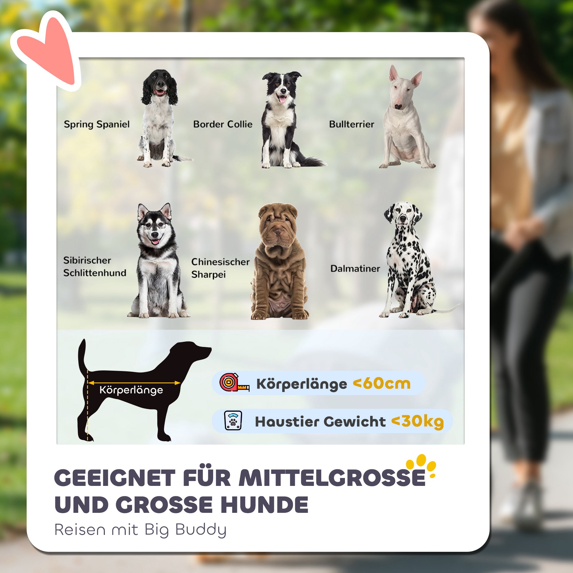 PawHut Hundebuggy, faltbar, aufklappbar, Liegekissen, Stahlrahmen, Rot/Schwarz