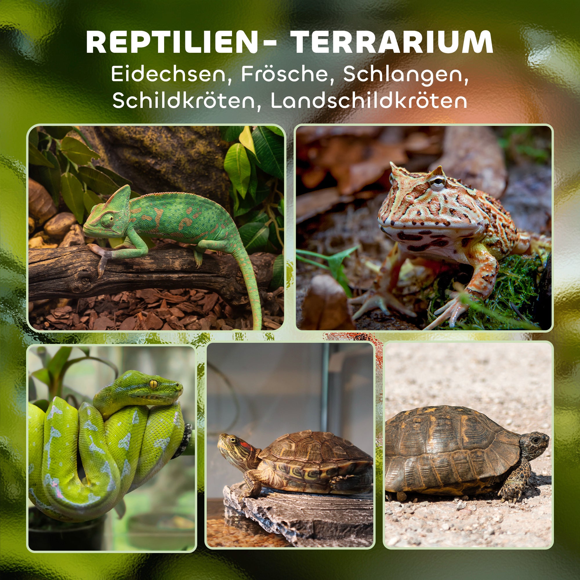 PawHut Glas-Terrarium für Reptilien, erhöhter & wasserdichter Boden, Knopfschloss