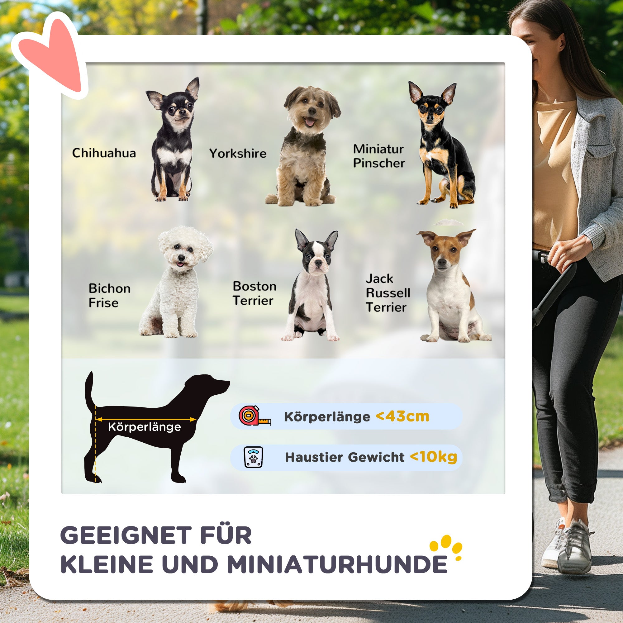 PawHut Hundebuggy Hundewagen bis 10 kg Klappbar Netzfenster Ablagekorb verstellbares Vordach Dunkelgrau 76,5 x 52 x 95 cm
