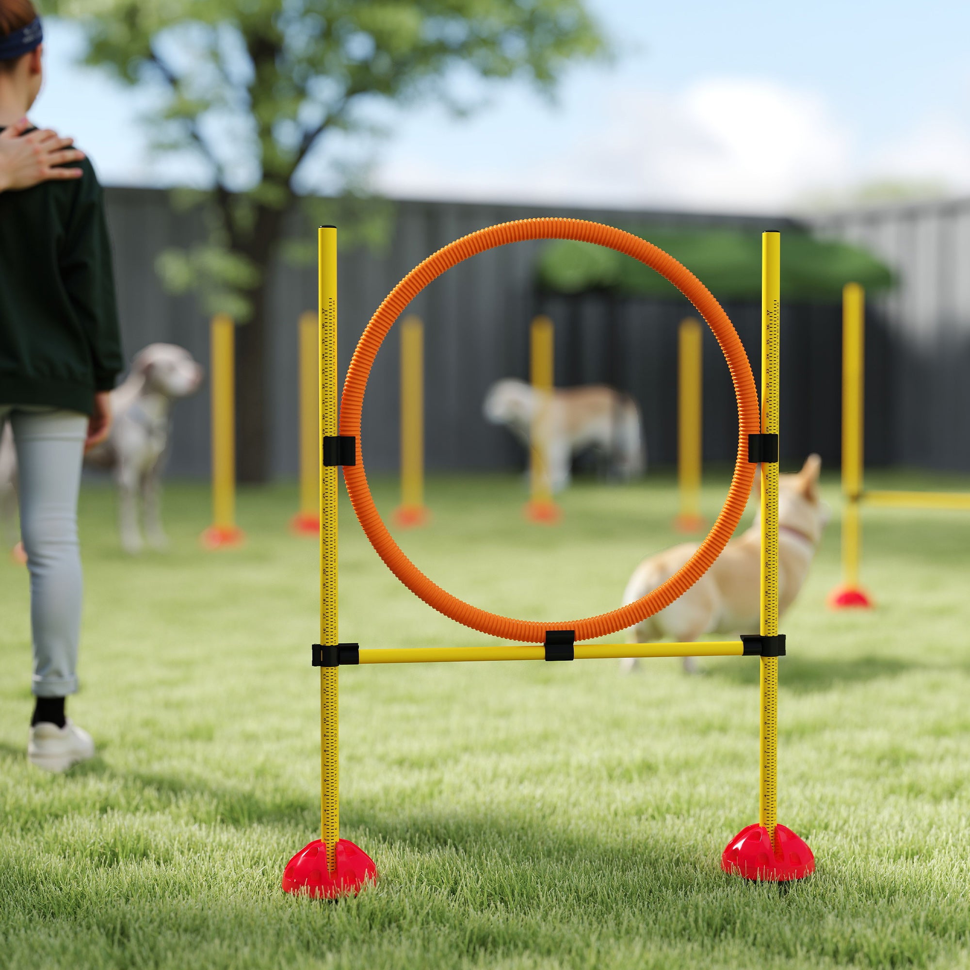 PawHut Agility Set Hunde 3-teiliges befüllbar Agility-Ausrüstung für Hundetraining Steckhürdenset mit Slalomstangen