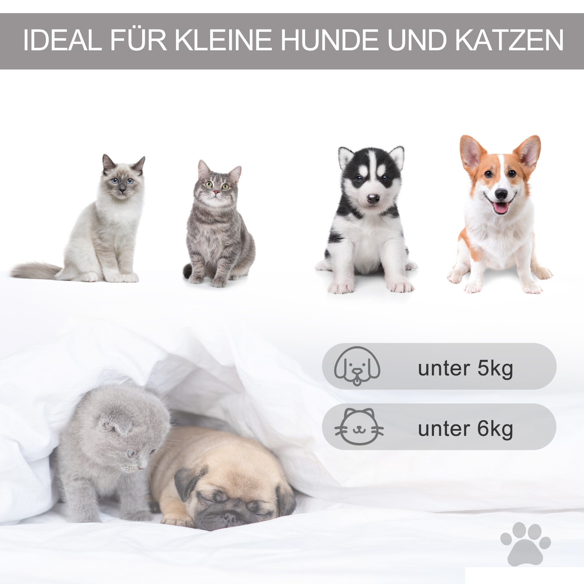 PawHut Haustierzelt Katzenhaus Hundezelt Katzenbett Katzenzelt mit weichem Kissen Plüsch Filz maschinenwaschbar Grau 58 x 58 x 80 cm