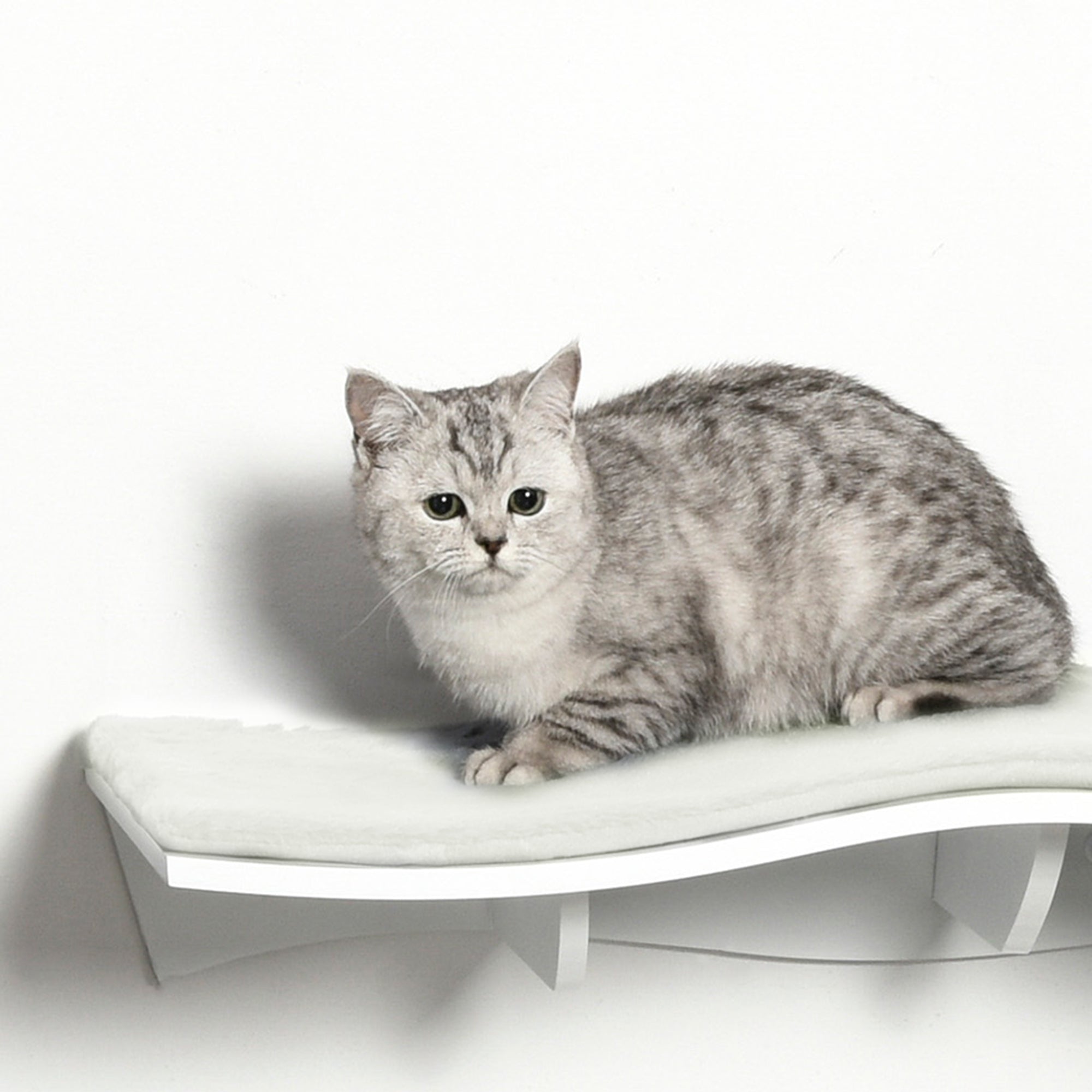 PawHut Katzen Kletterwand Katzenhängematte Katzenbett Wand Katzenregal Wandmontage Katzenmöbel Plüsch MDF Weiß 53 x 28 x 12 cm