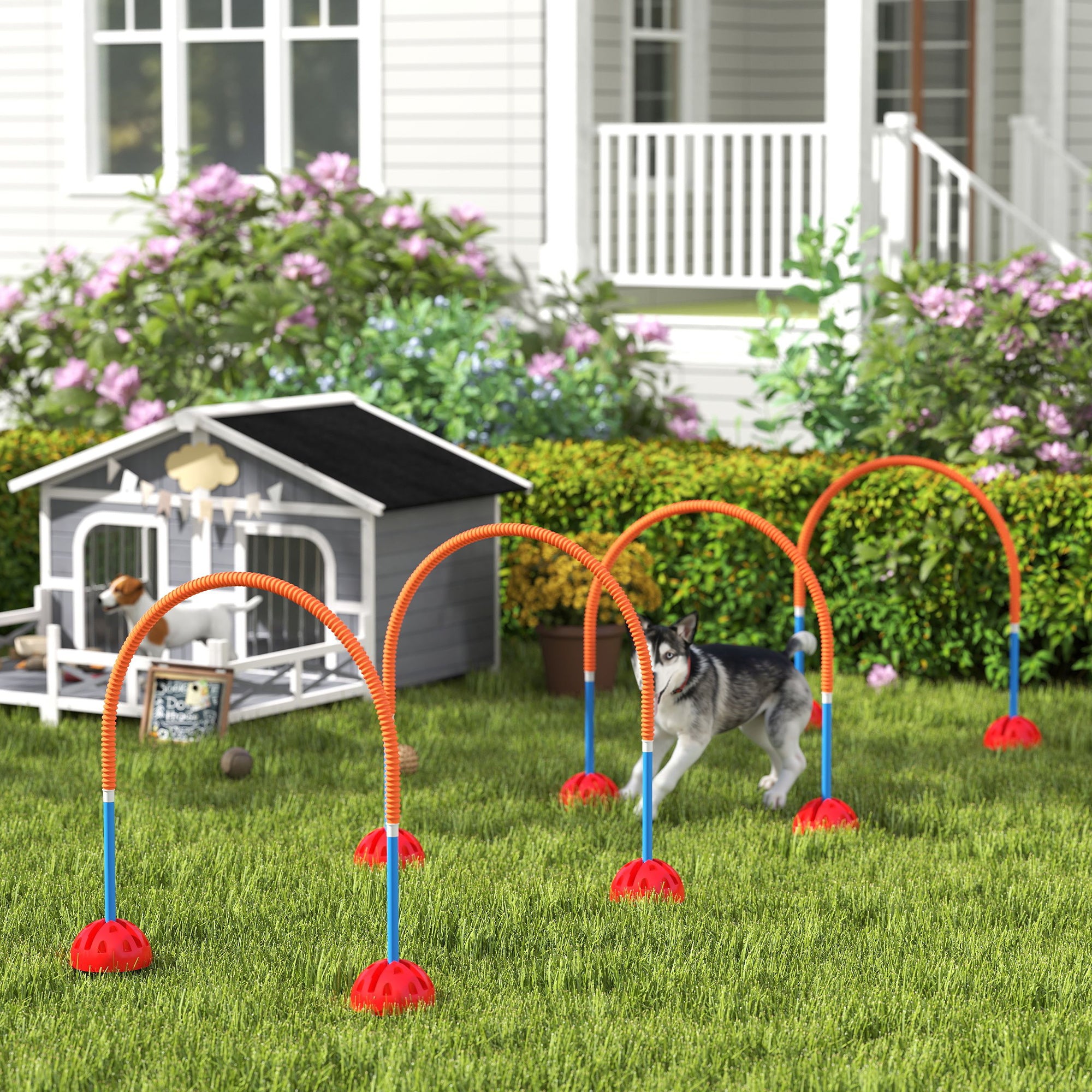 PawHut 4-teiliges Hunde-Agility-Trainingsgerät mit 4 Türen in verstellbarer Breite, Tragetasche, für Garten, Blau