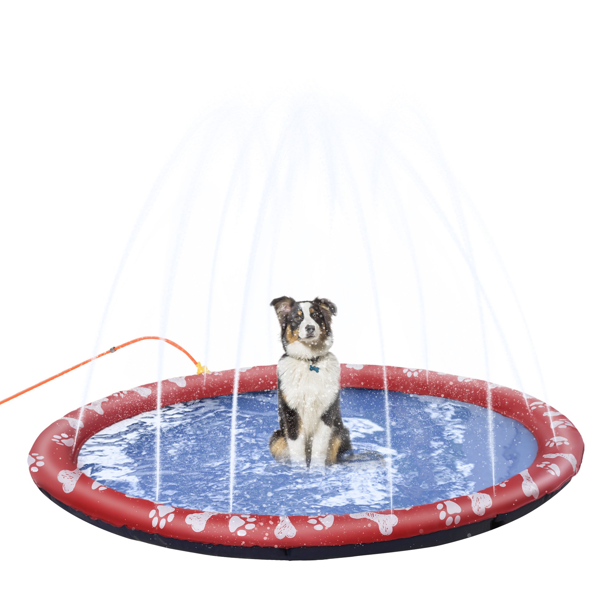 PawHut Hundepool, Wasser-Spielpool, rutschfest, robust, tierfreundlich, Ø170 cm, Rot