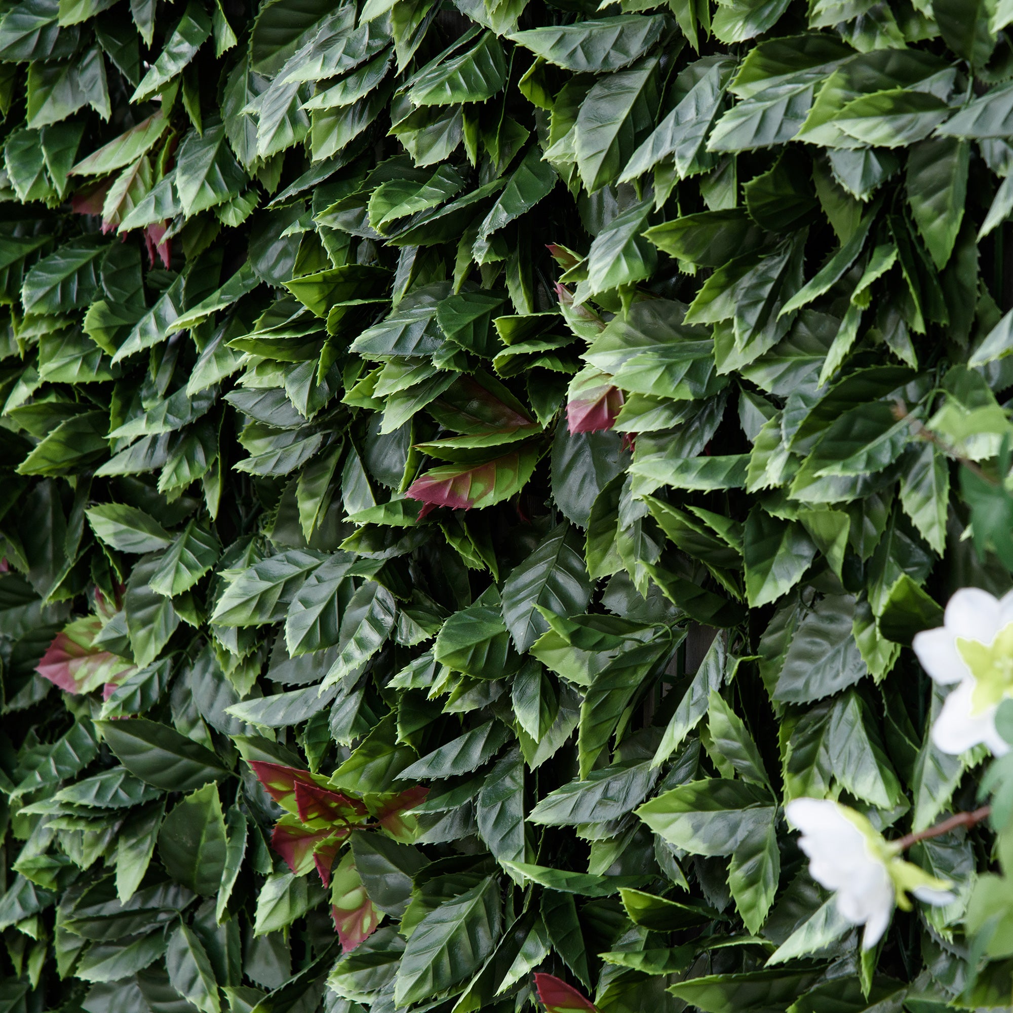 Outsunny 12 Stück künstliches Pflanzenwand Hecke 50x50 cm UV-Schutz Sichtschutz Glanzmispeln Design Heckenpflanze für Garten Outdoor Dekor