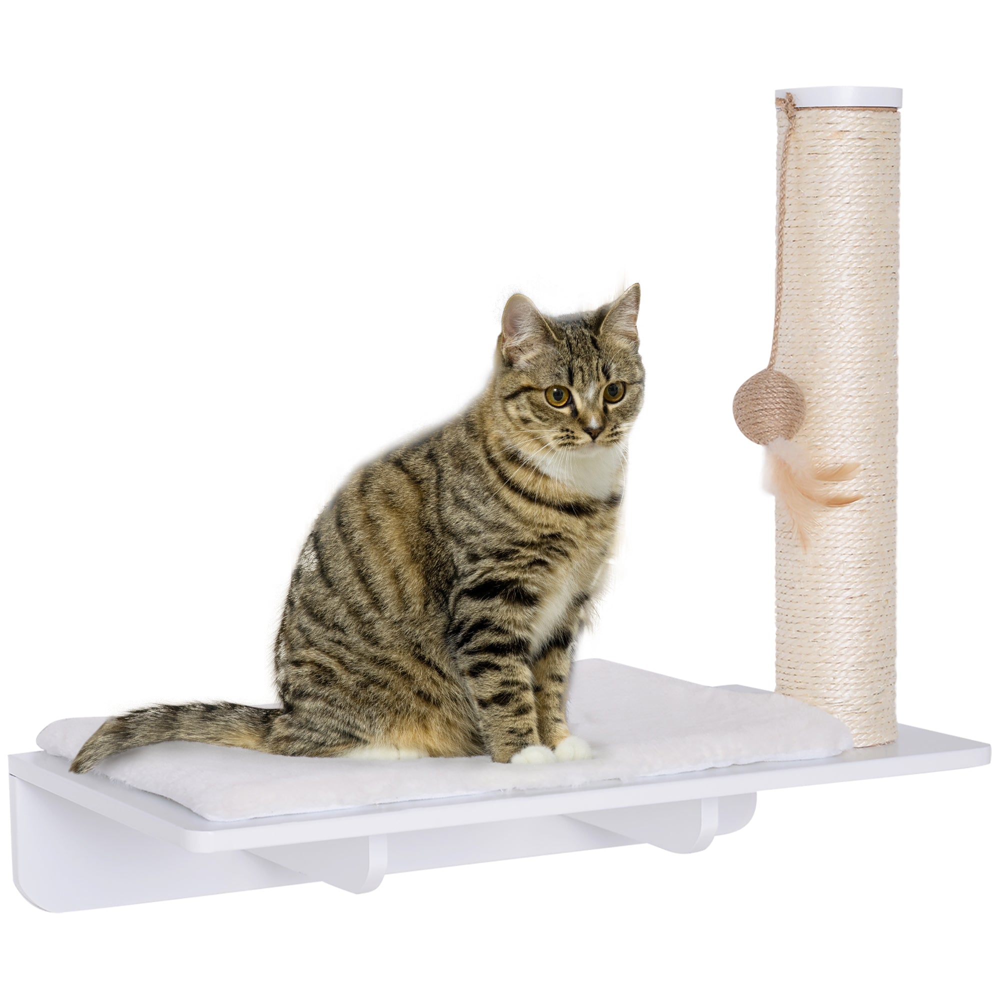 Lit pour chat PawHut avec griffoir et tapis en peluche pour balle de jeu