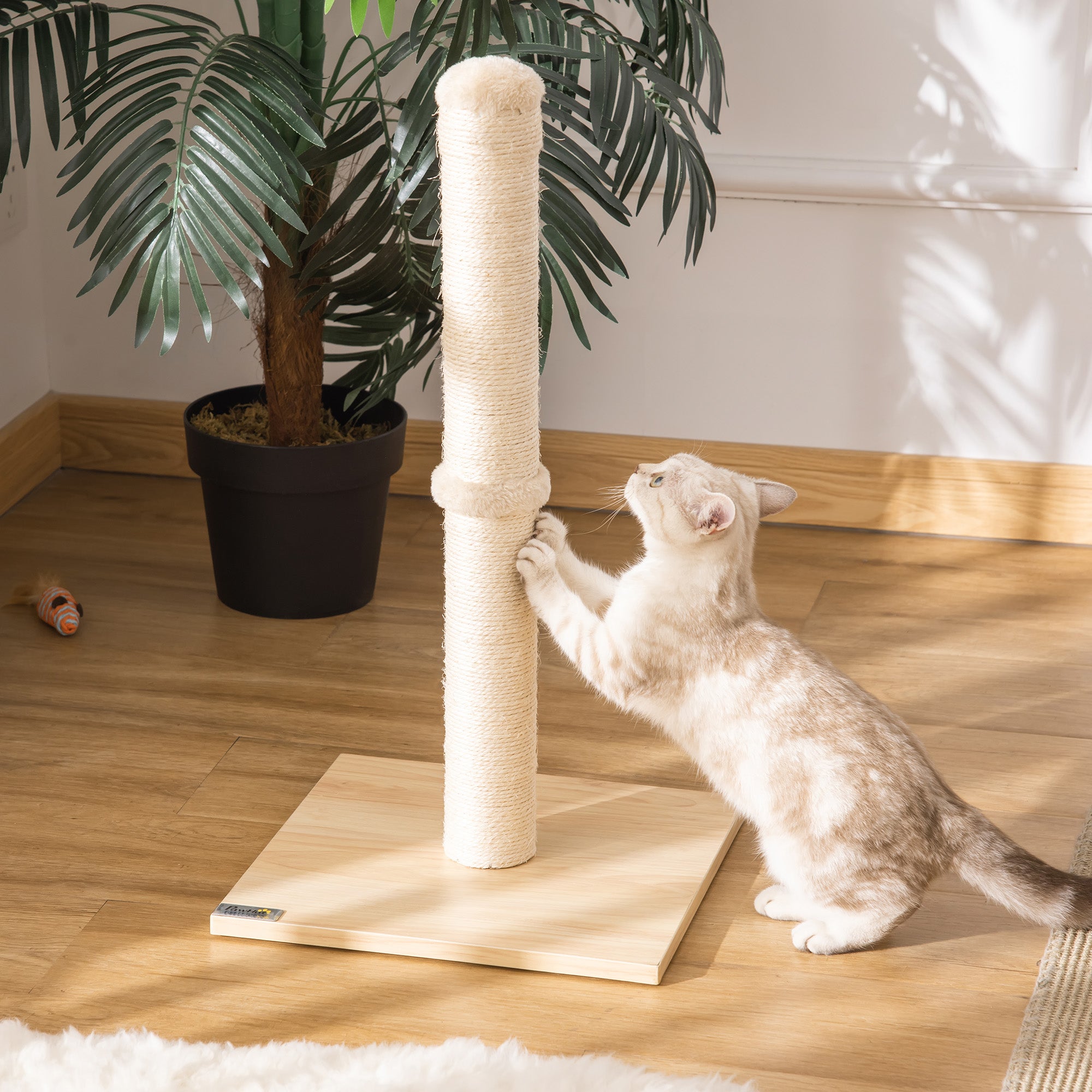 PawHut Kratzstamm für Katzen Kratzsäule aus Sisal stabiler Kratzbaum Kratz Spielzeug Katze mit Ball 60 cm Spanplatte Sisal Beige+Eiche 34 x 34 x 60 cm
