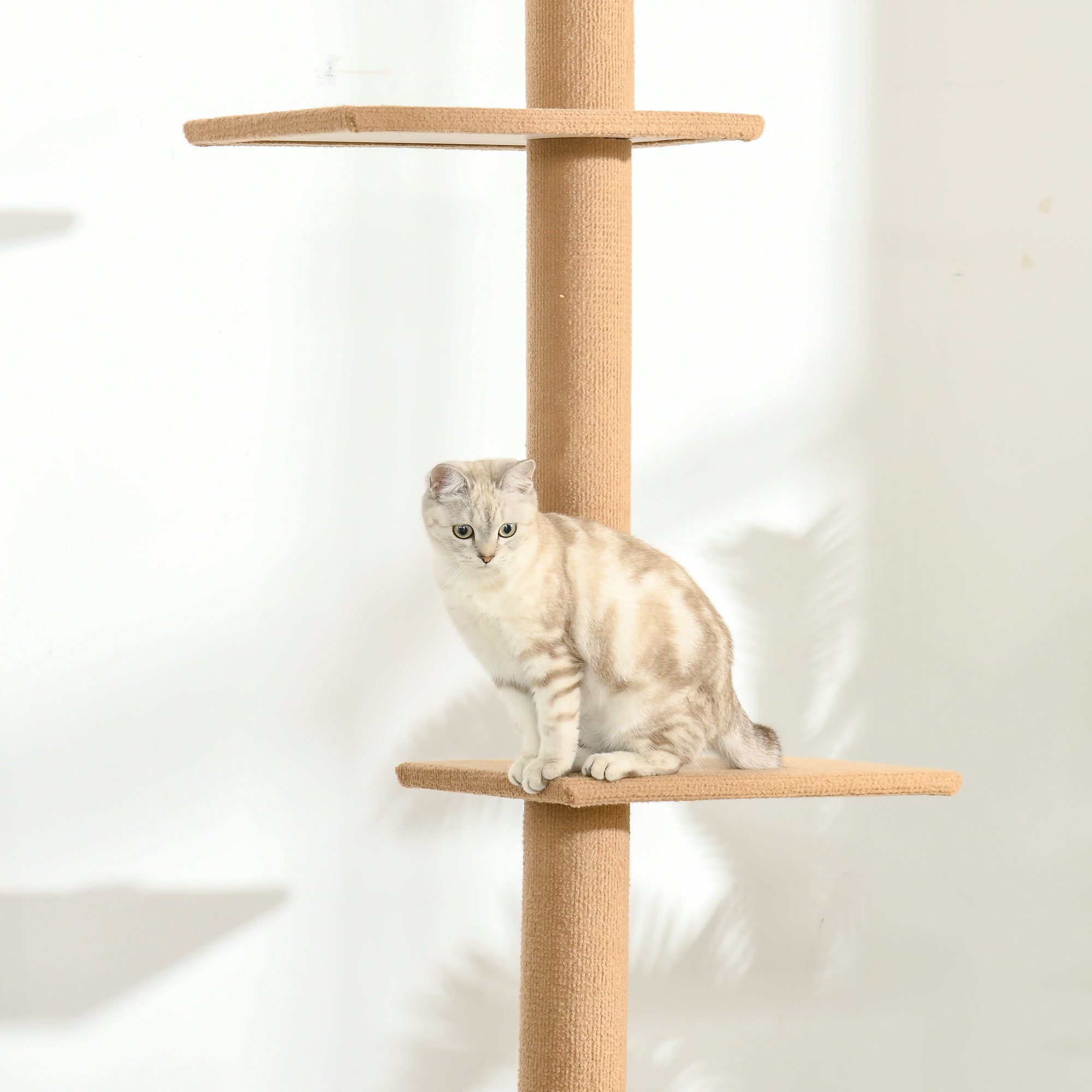 PawHut Kratzbaum Deckenhoch, 228-260 cm Höhenverstellbarer Katzenbaum Kletterbaum für Katzen mit 3 Ebenen, Katzenkratzbaum, Spielbaum vom Boden bis zur Decke Hellbraun