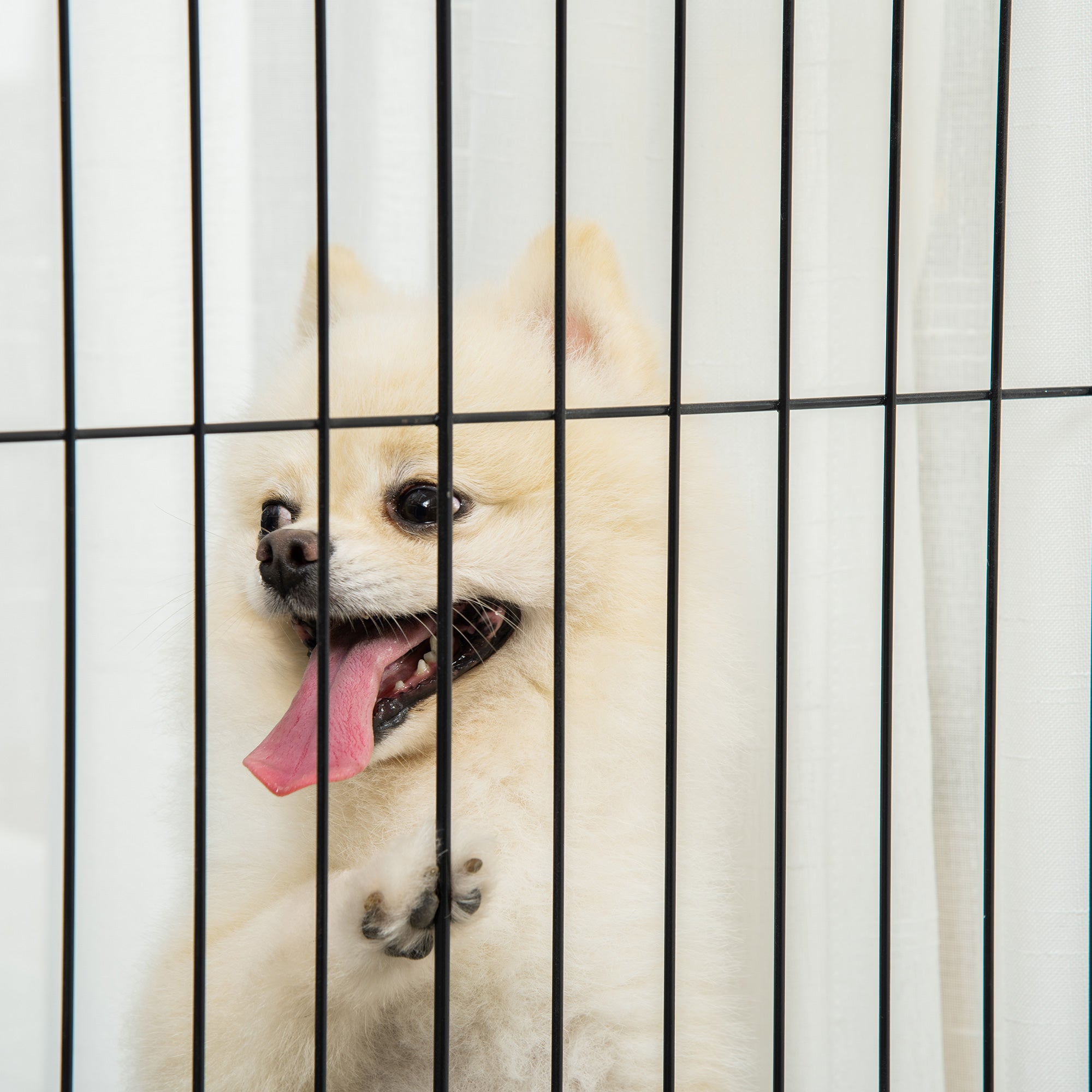 PawHut Türschutzgitter Holz Absperrgitter für Hunde Schutzgitter Hundegitter Sicherheitstür Bidirektionales Falten Stahl Weiß 305 x 35,5 x 82 cm