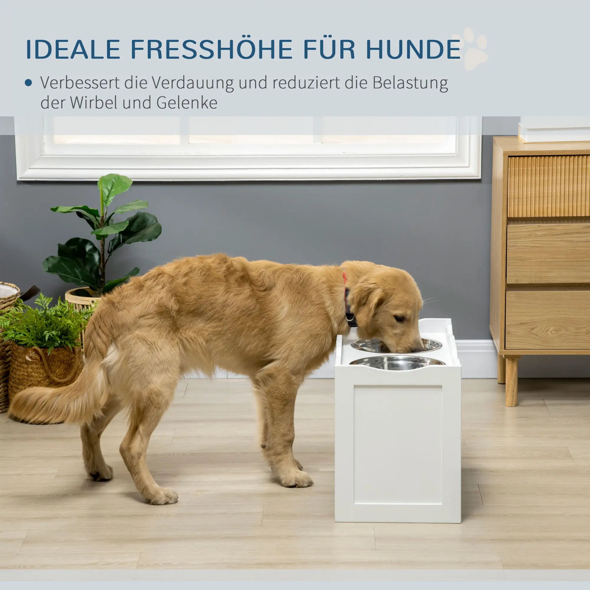 PawHut Futterstation, Napfständer, 2 Fressnäpfe je 2 Liter, Edelstahl, für große Hunde, weiß, 63 x 30 x 24cm