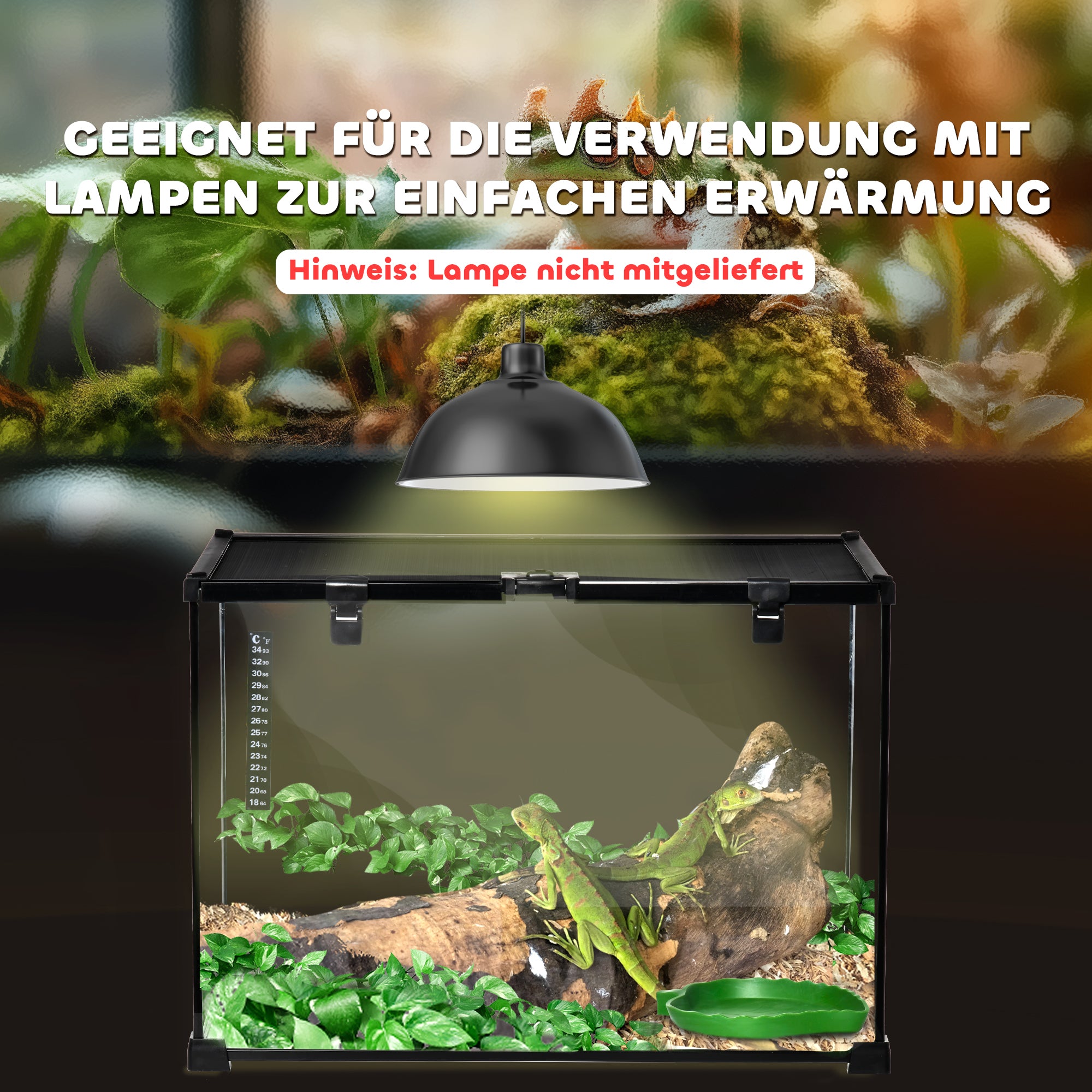 PawHut Terrarium für Reptilien Reptile Fütterungsbox Glasterrarium Amphibien Spinnentiere mit Thermometer Reptilienzuchtbox Metall Schwarz 50 x 30 x 35 cm