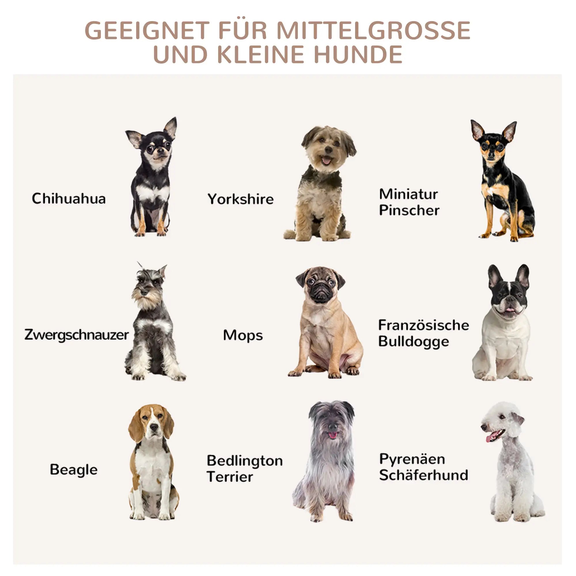 PawHut Hundekäfig mit 2 Türen, Hundebox, verriegelbar, Stahlgitter, 80 cm x 50 cm x 56,5 cm, Weiß + Silber