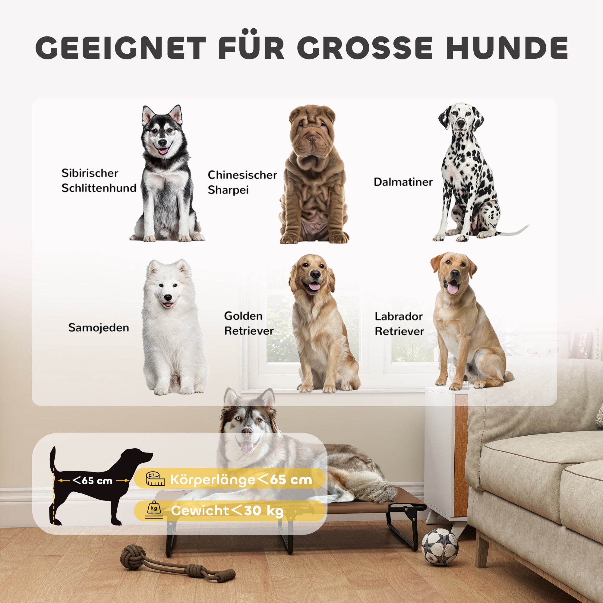 PawHut Tragbares erhöhtes Hundebett, erhöhtes Haustierbett mit atmungsaktivem Netz, für große Hunde, Kaffee