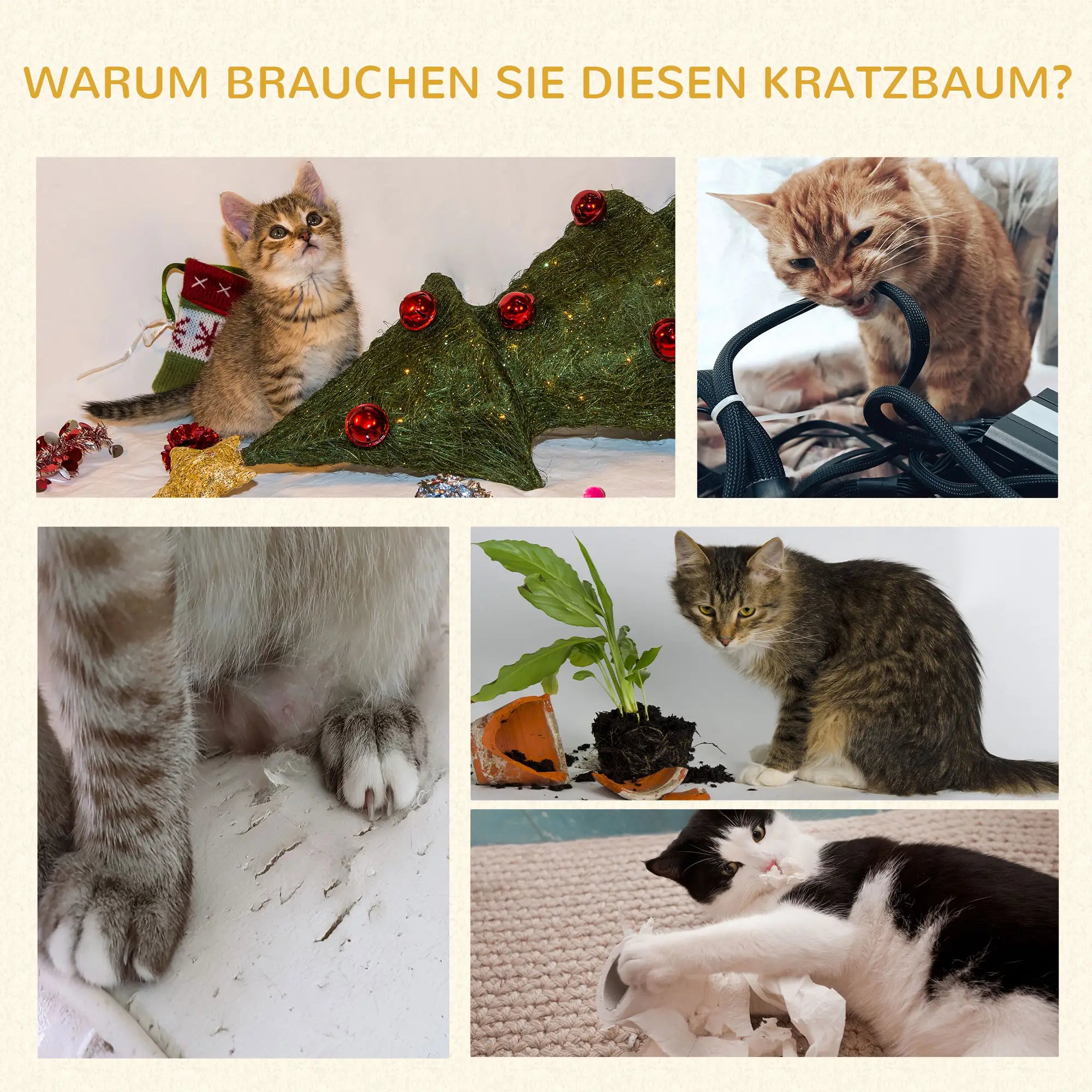 PawHut Kratzbaum klappbar mit Höhle und Hängematte