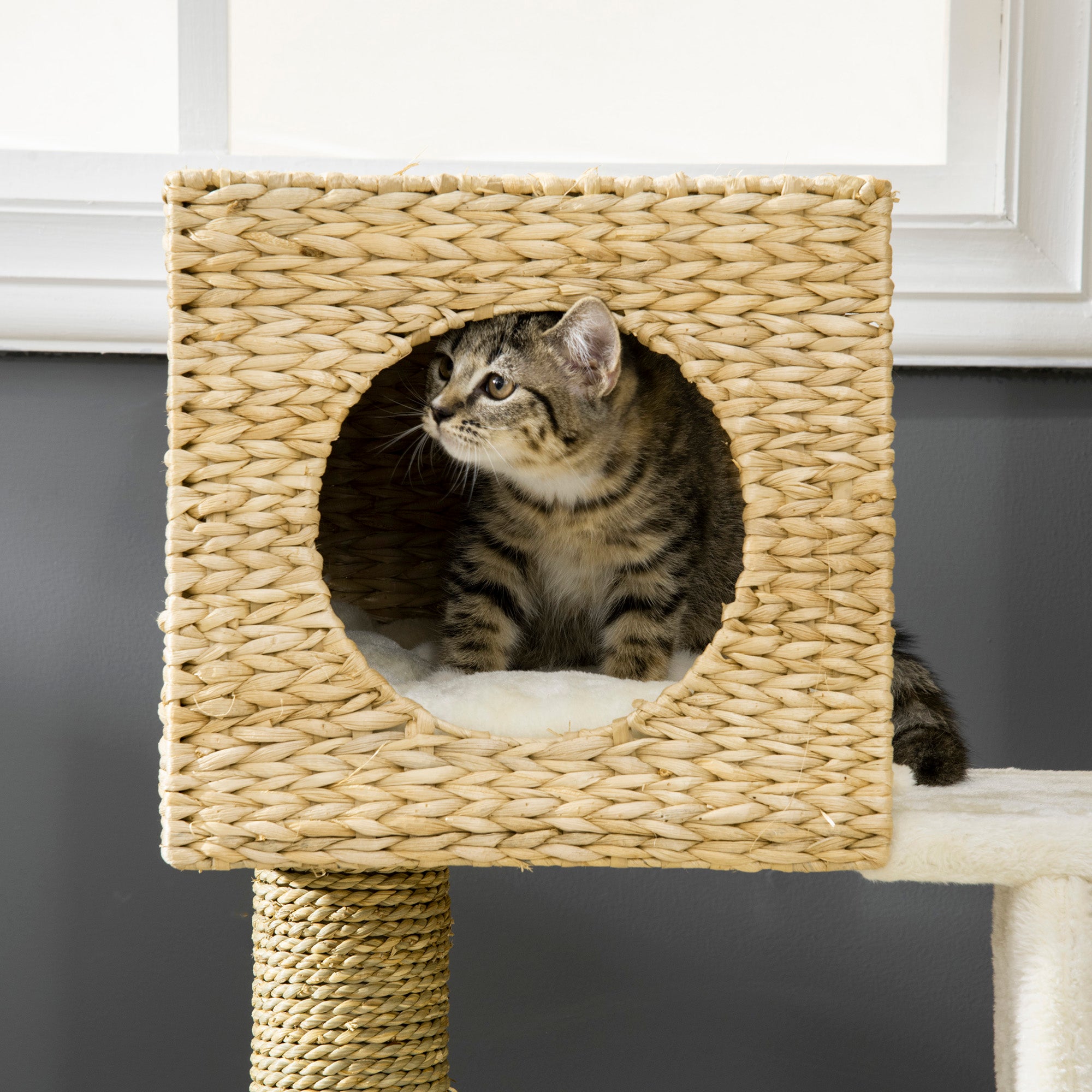 PawHut Kratzbaum mit Katzenhaus, Sisal-Kratzsäulen, waschbare Kissen, 100,5H x 57L x 37B cm, Weiß/Natur