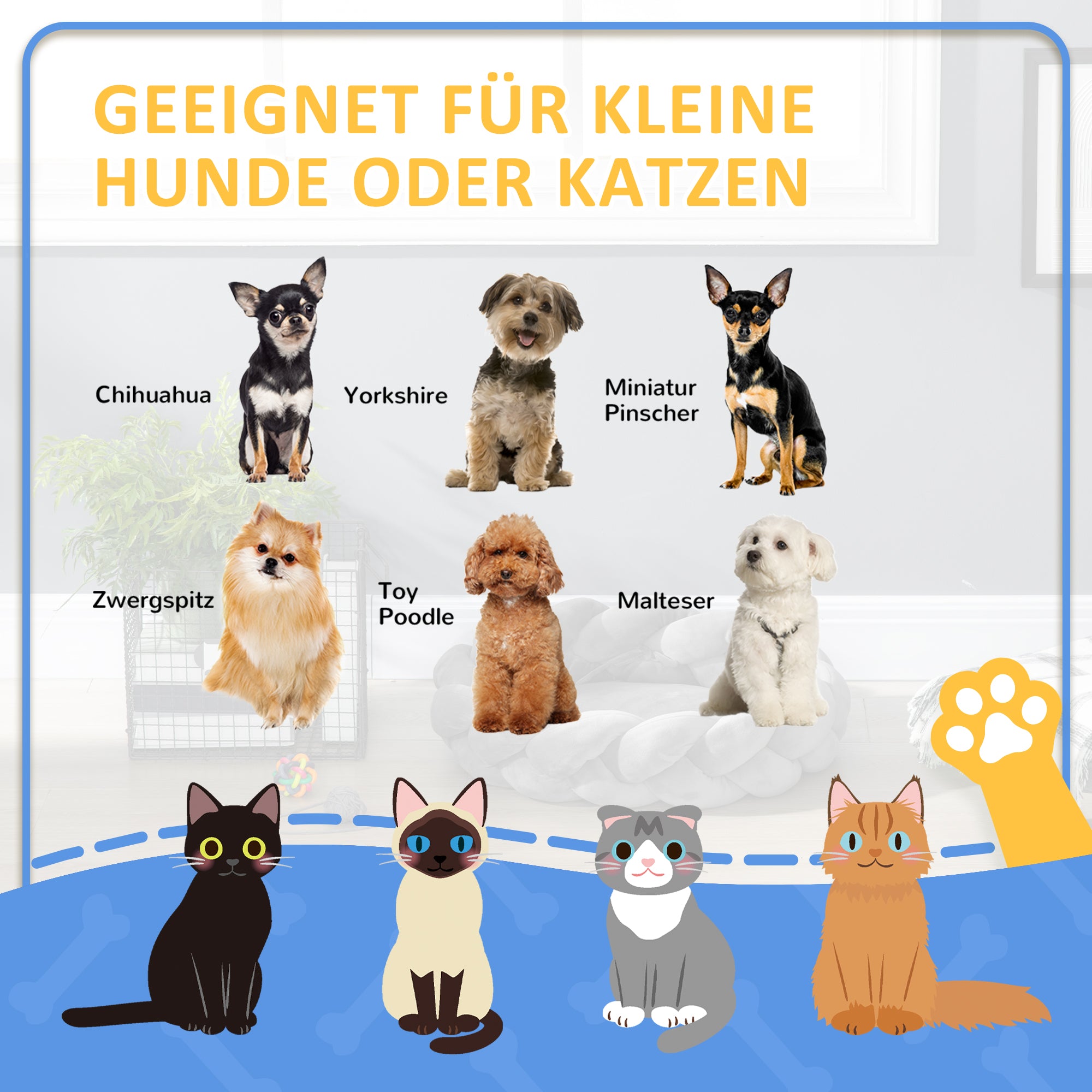 PawHut Haustierbett inkl. Kissen, Katzenbett, Hundekorb, waschbar, 55 cm x 55 cm x 14 cm, Grau