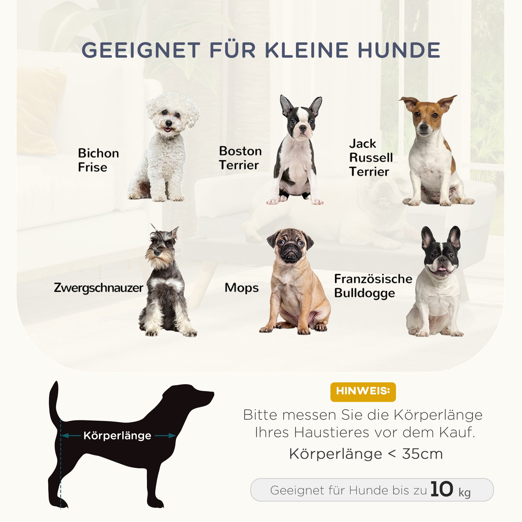 PawHut Haustiersofa Hundesofa Hundebett mit Holländischer Samt Schaumstoff Birke Bein für Katzen Hunde  86 x 55 x 33 cm Hellgrau