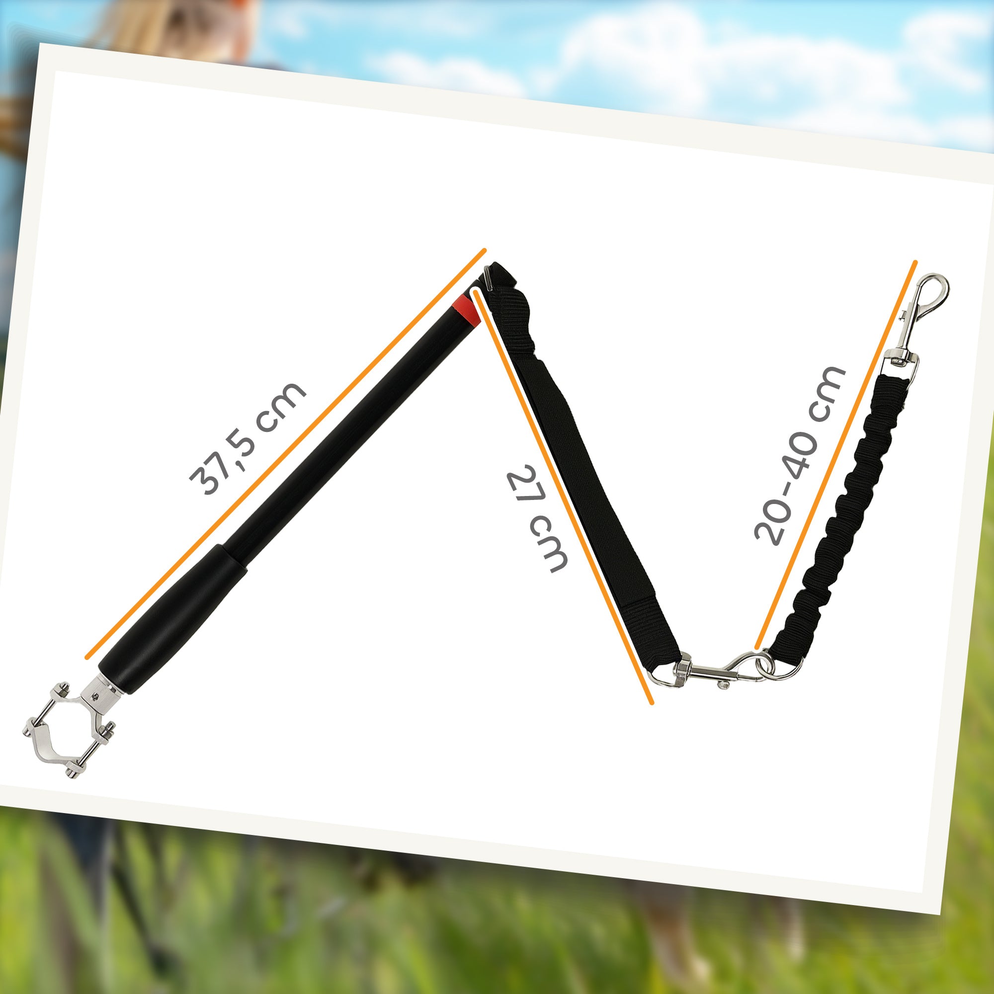 PawHut Hundeleine fürs Fahrrad, elastisches Seil, Stahlrohr, 124 cm, Schwarz