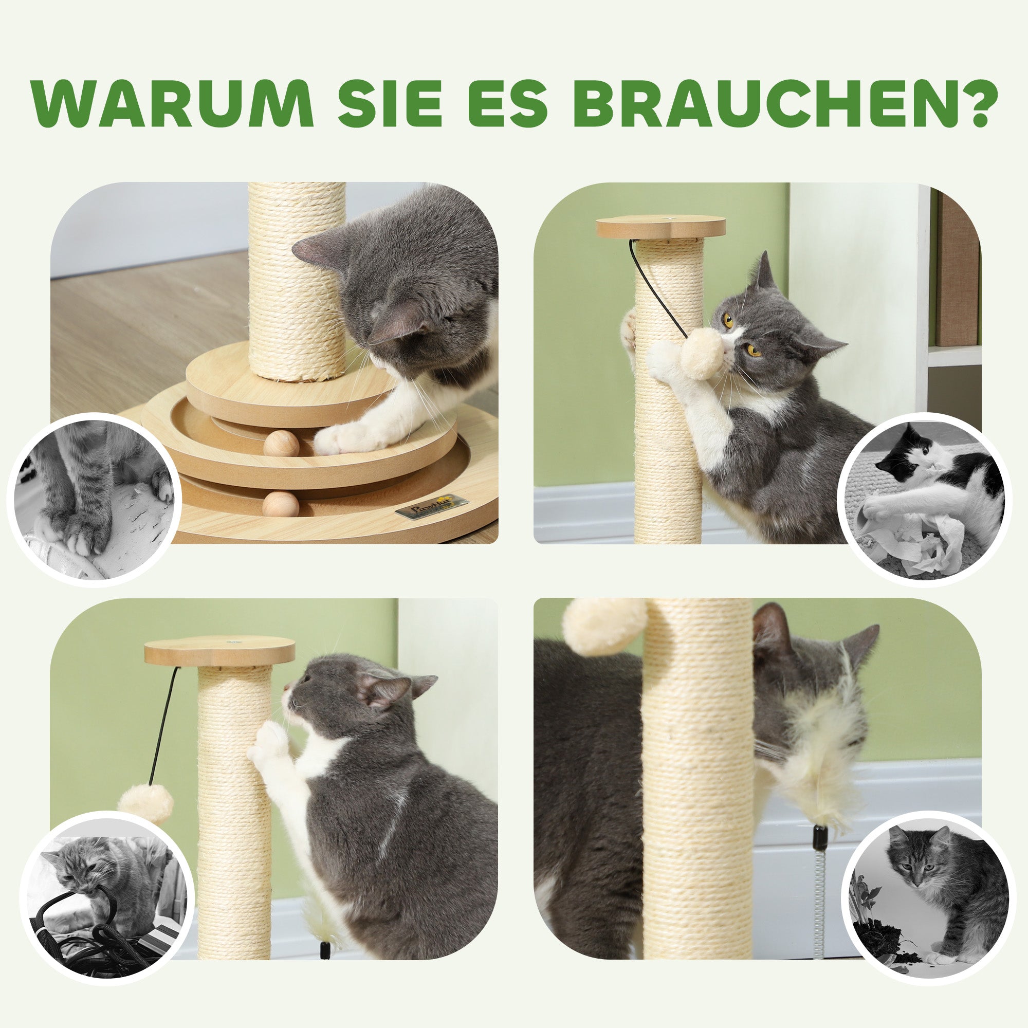 PawHut Katzen-Kratzbaum, 49 cm, Sisal-Kratzpfosten, Kugelbahn, Spielball, Spielfeder, 4-in-1-Design, Eiche, Weiß