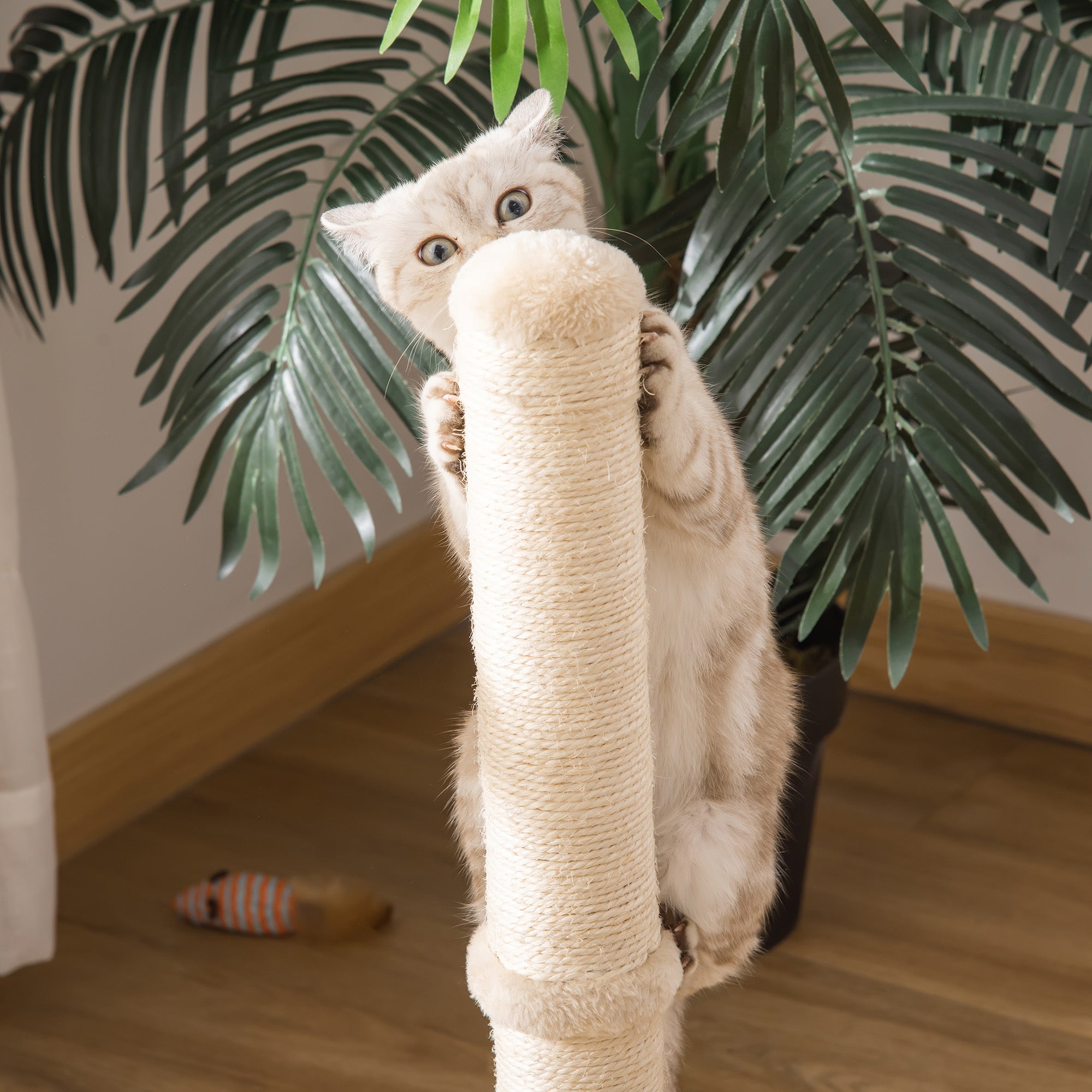 PawHut Kratzstamm für Katzen Kratzsäule aus Sisal stabiler Kratzbaum Kratz Spielzeug Katze mit Ball 60 cm Spanplatte Sisal Beige+Eiche 34 x 34 x 60 cm