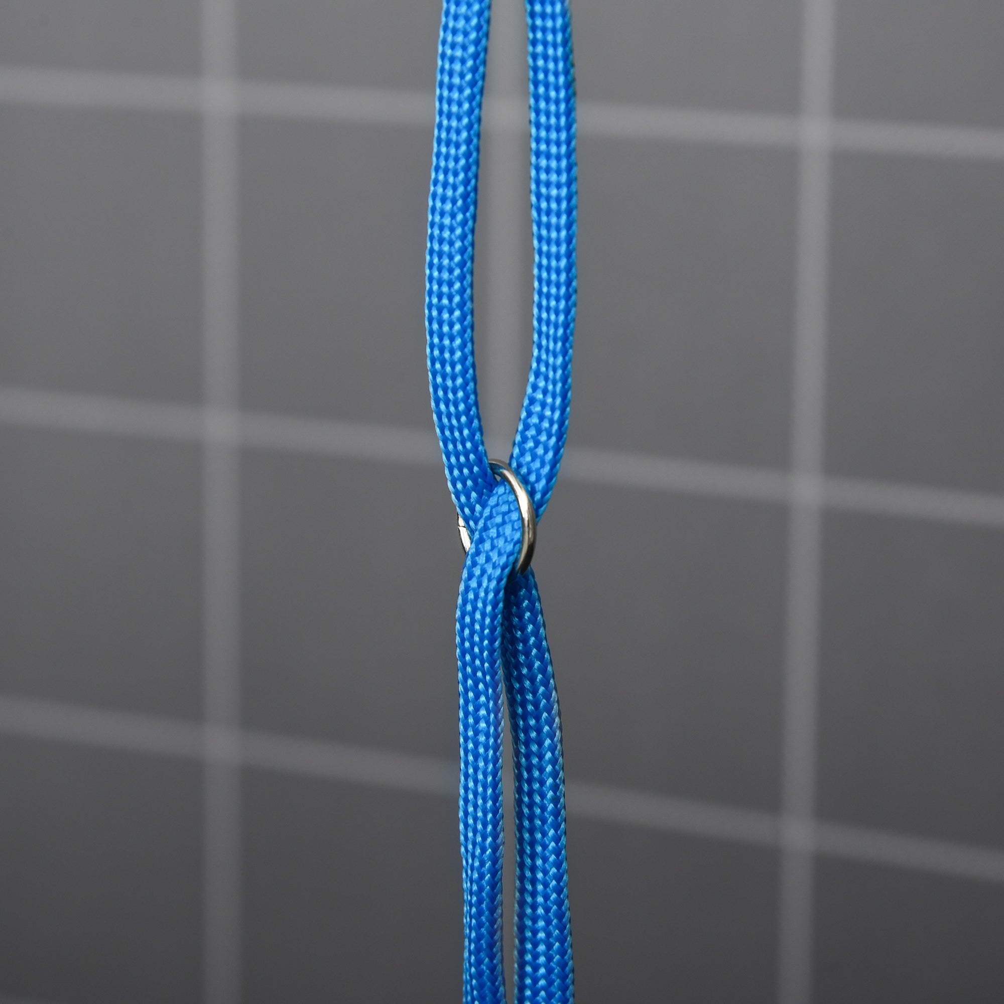 PawHut Hund Trimmtisch Tierpflegetisch drehbar trocknen Tabelle mit verstellbaren Arm rutschfeste Tischplatte Verriegelungssystem Aluminium-Legierung Rand Edelstahl Rahmen Sicherheit Leine Ø65x H10