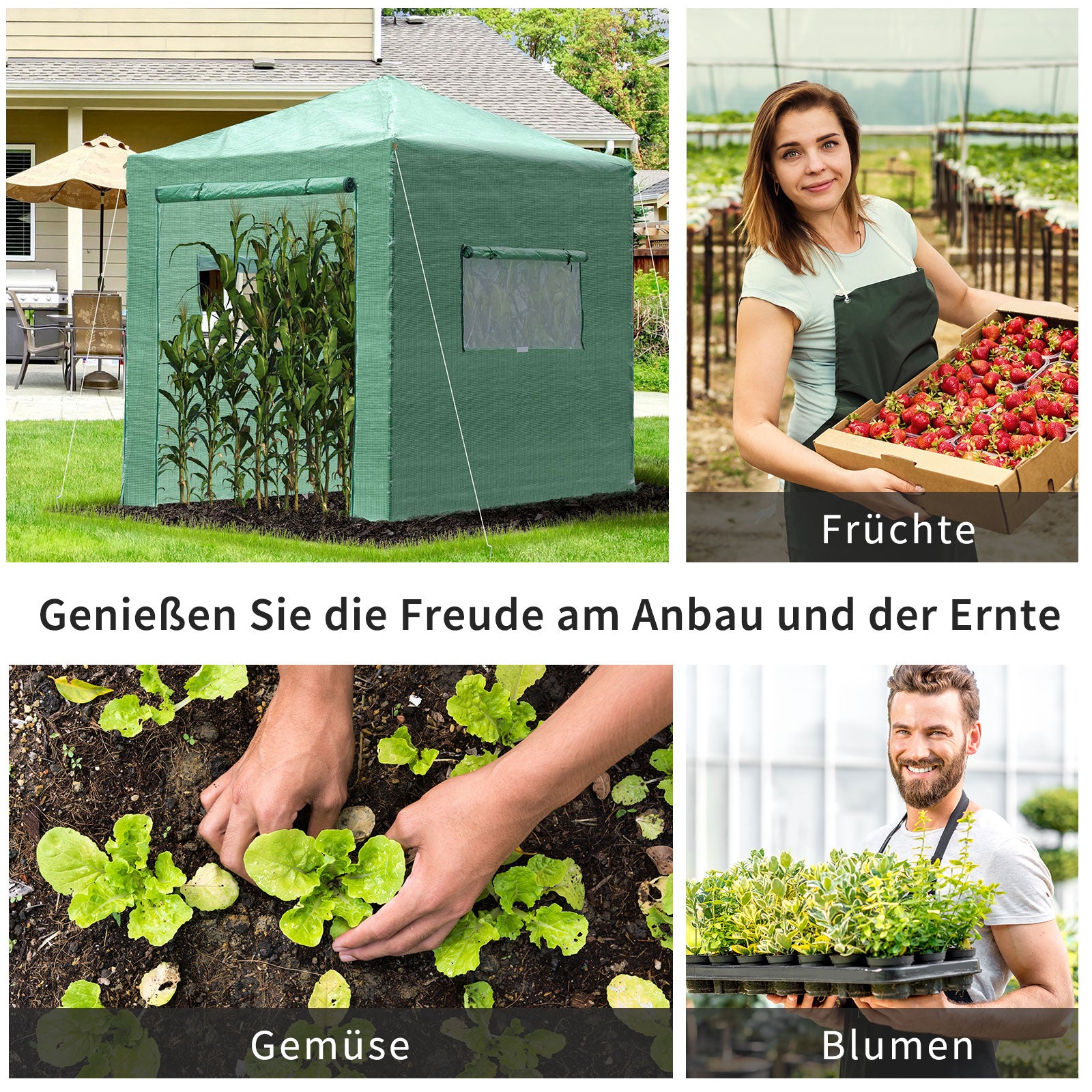 Outsunny Gewächshaus Treibhaus Tomatenhaus Frühbeet mit Tür und Fenster zum Aufrollen PE Stahl Dunkelgrün 238 x 178 x 240 cm