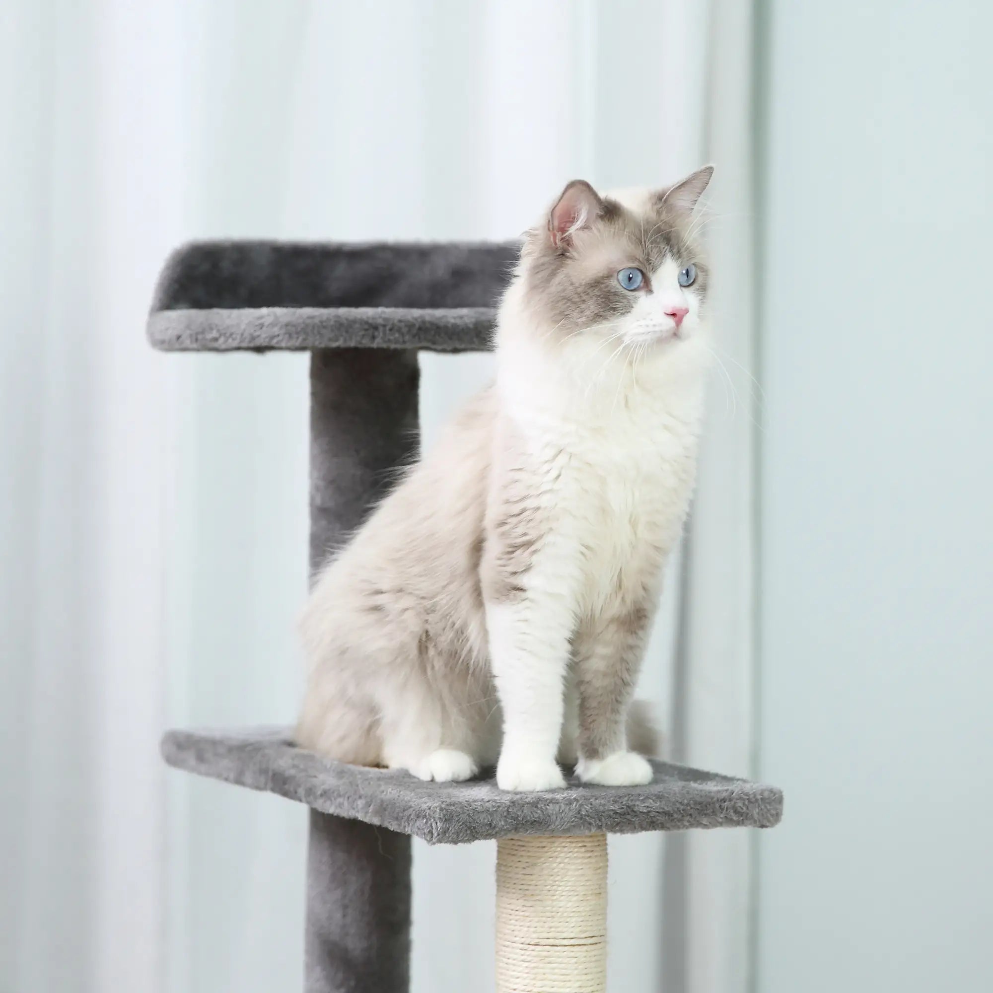 Arbre à chat robuste PawHut, capacité de charge 15 kg