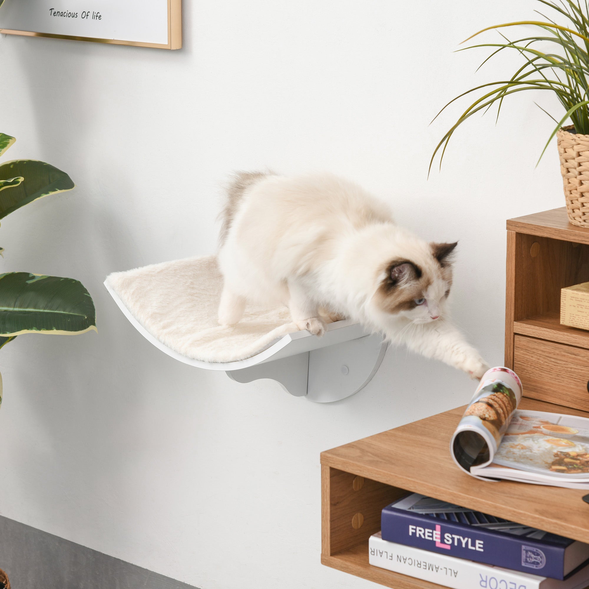 PawHut Katzenregal, Wandmontage, weiche Liegefläche, bis 10kg, 41x28x21cm, Weiß