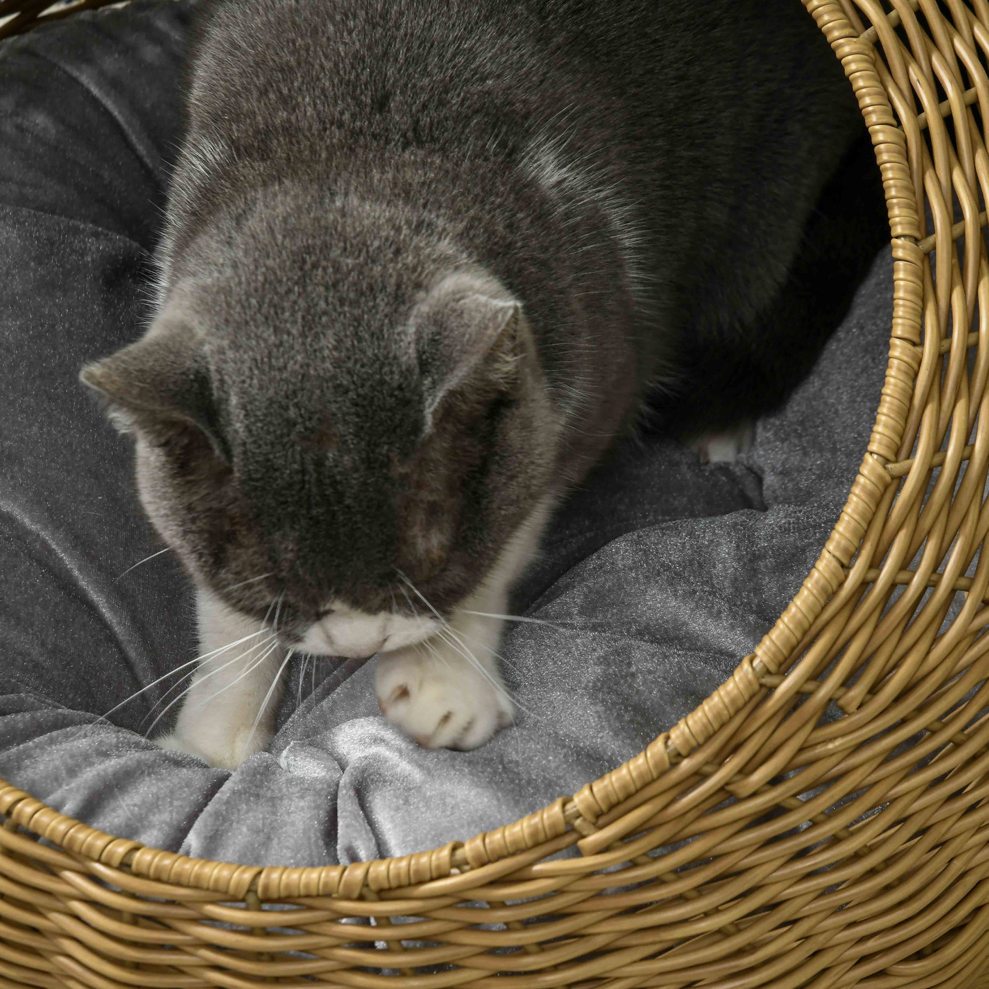 PawHut Katzenhöhle mit waschbarem Kissen, für Tiere bis 4 kg, Indoor, Kunst-Rattan, Ø50 x 31 cm, Hellbraun
