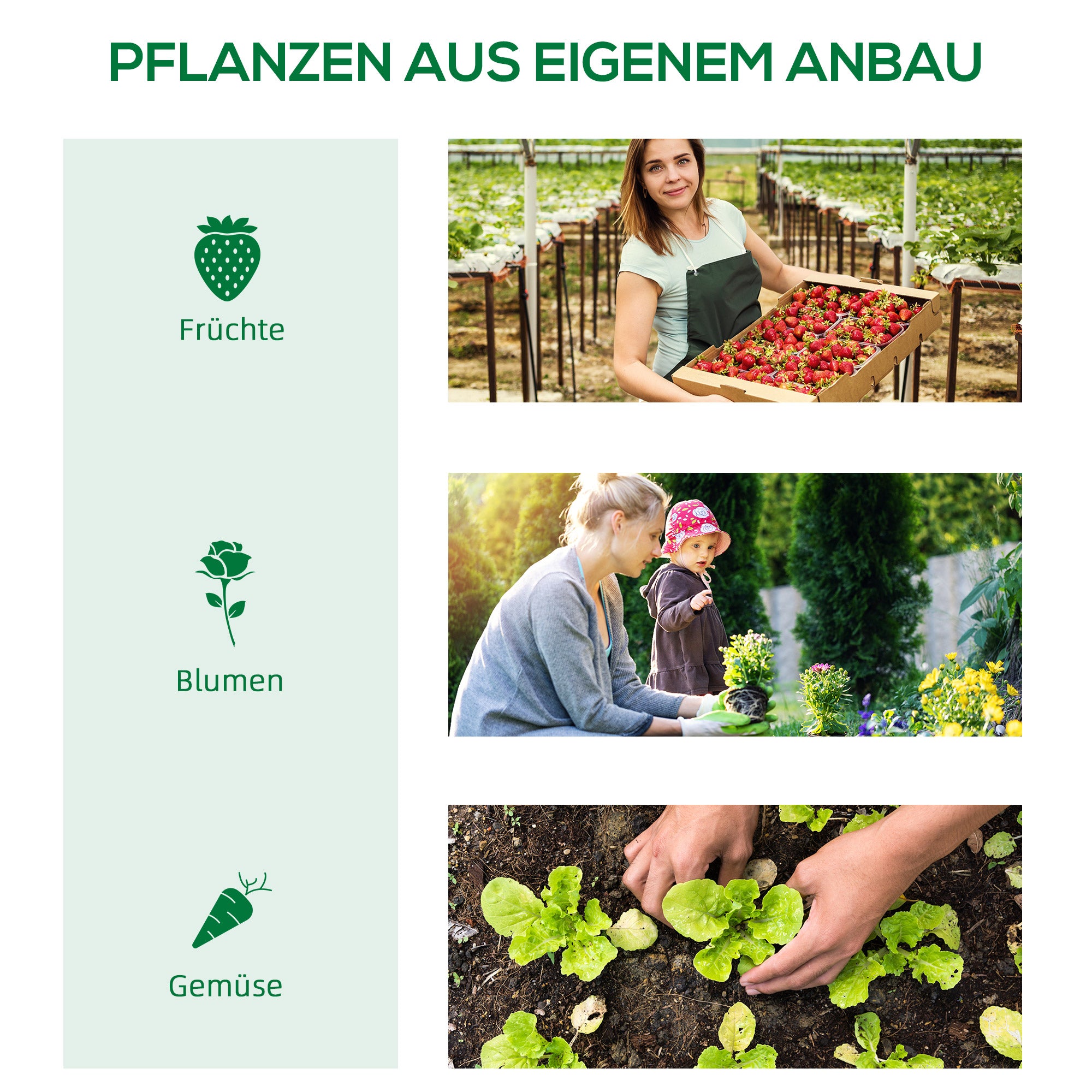 Outsunny Foliegewächshaus mit Fenster Treibhaus Tomatenhaus Frühbeet 180 x 90 x 70 cm Grün