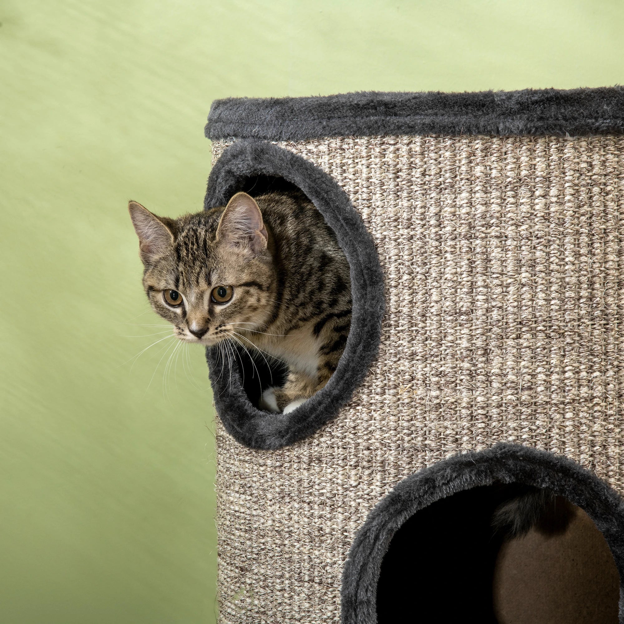 PawHut Kratztonne Katzenbaum 3 Ebenen Sisal Kratzmatte