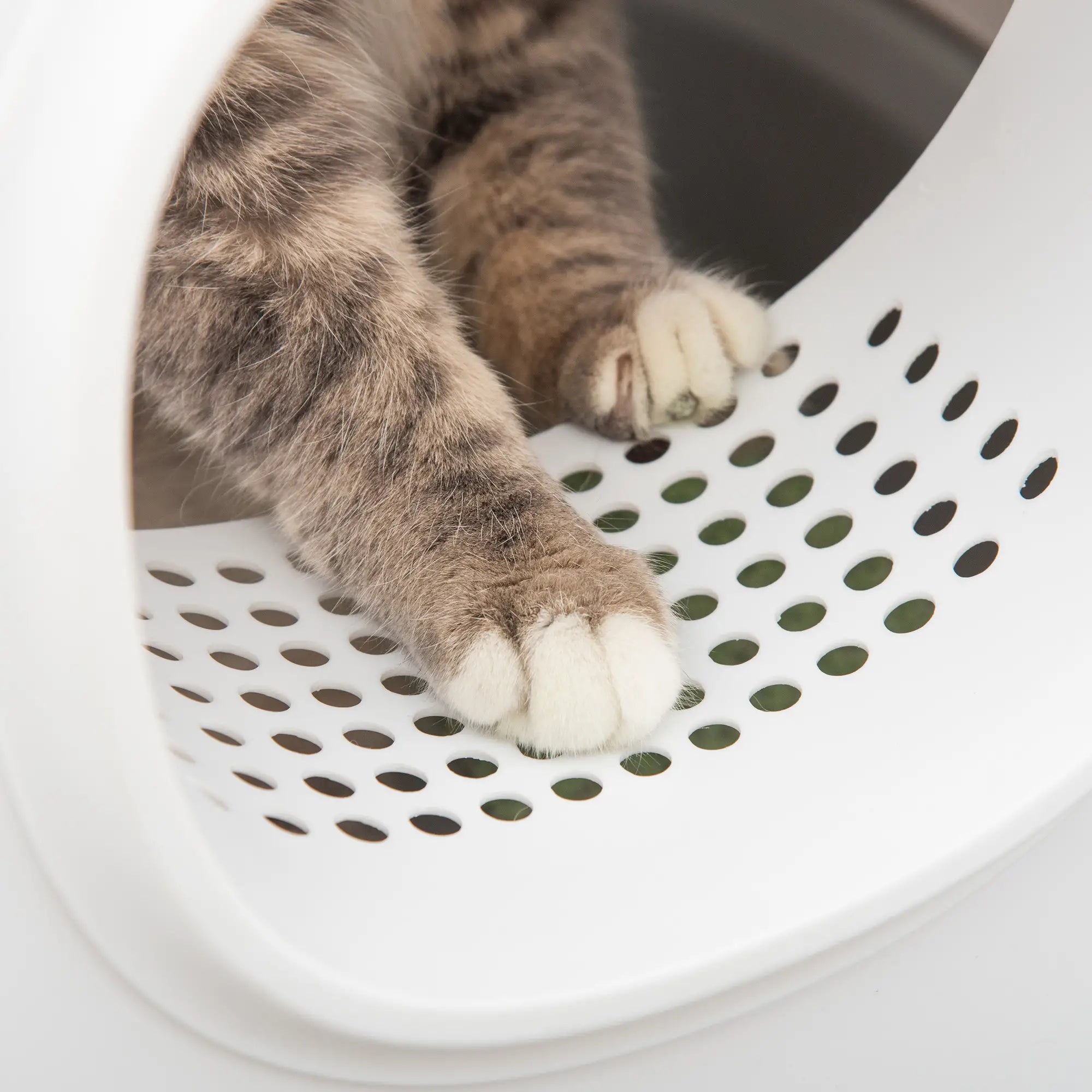 PawHut Katzenklo mit Deckel Katzentoilette mit Haube Schaufel Gitterboden XXL Katzentoilette für Katzen bis 5 kg 55 x 40 x 39 cm Weiß