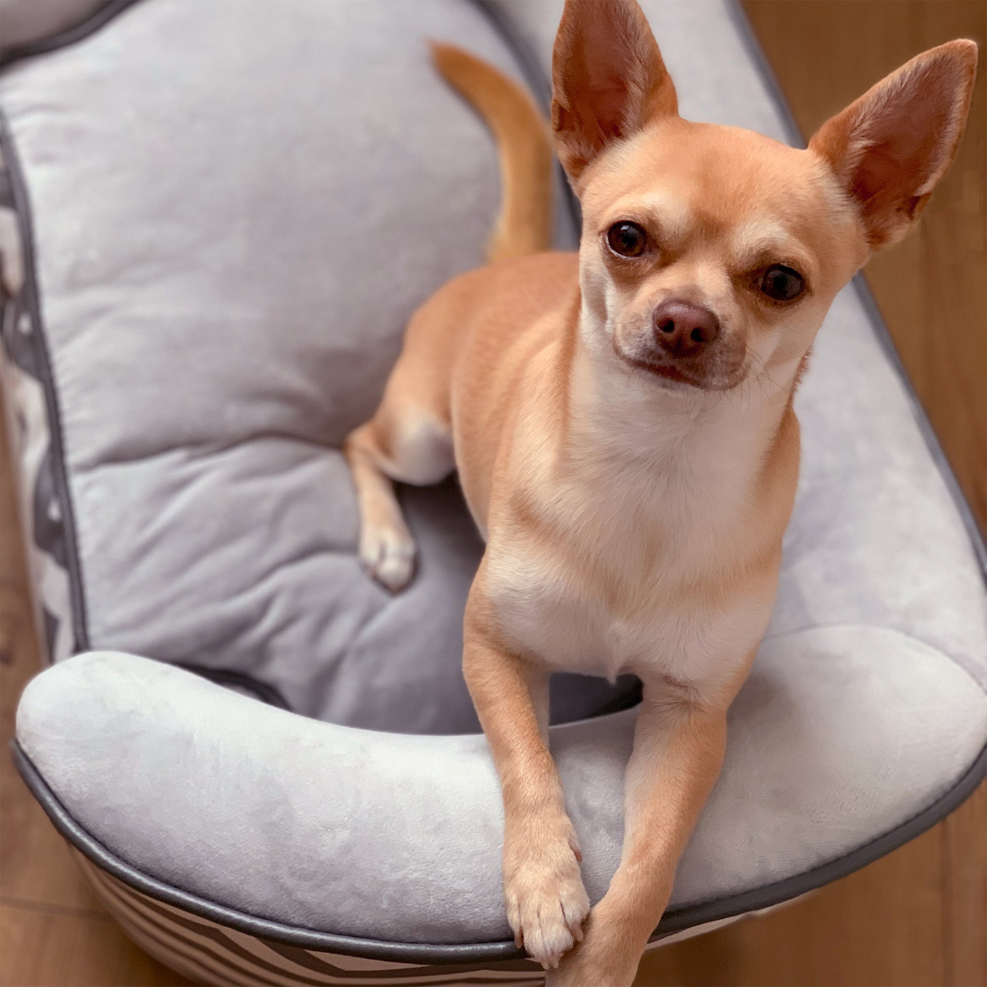 PawHut Haustiersofa Hundecouch Hundesofa Hundebett Hundematte Katze Kissen gepolstert Holz Schaumstoff Grau 68,5 x 40,5 x 40,5 cm