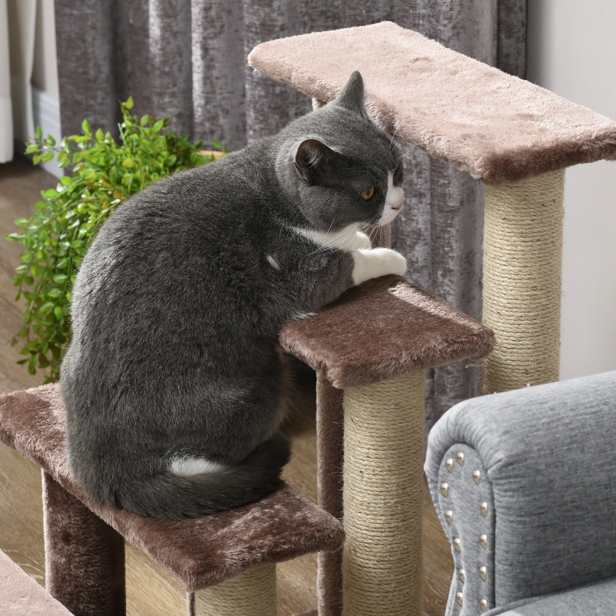 PawHut Haustiertreppe, Kratzbaum, 4-stufig, für Tiere bis 5 kg, 60x40x64cm, Braun