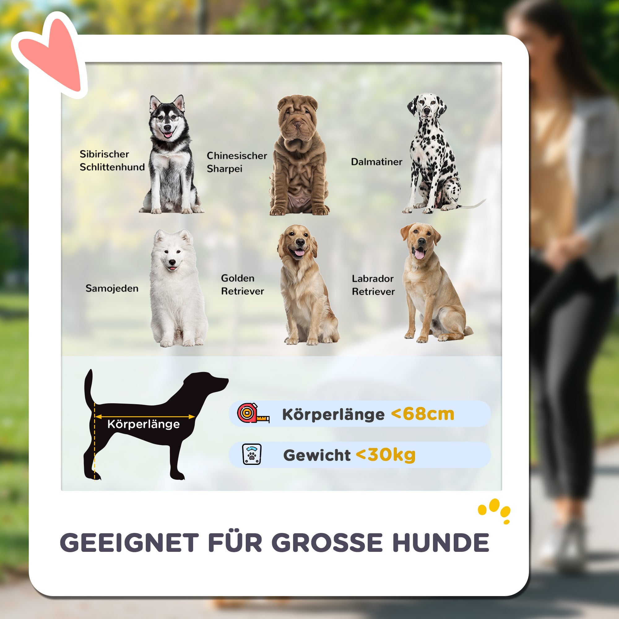 PawHut Hundewagen, Faltbarer Hundebuggy für große Hunde, Haustierwagen mit 4 Rädern, Sicherheitsleinen, Bremsen, Dunkelgrau