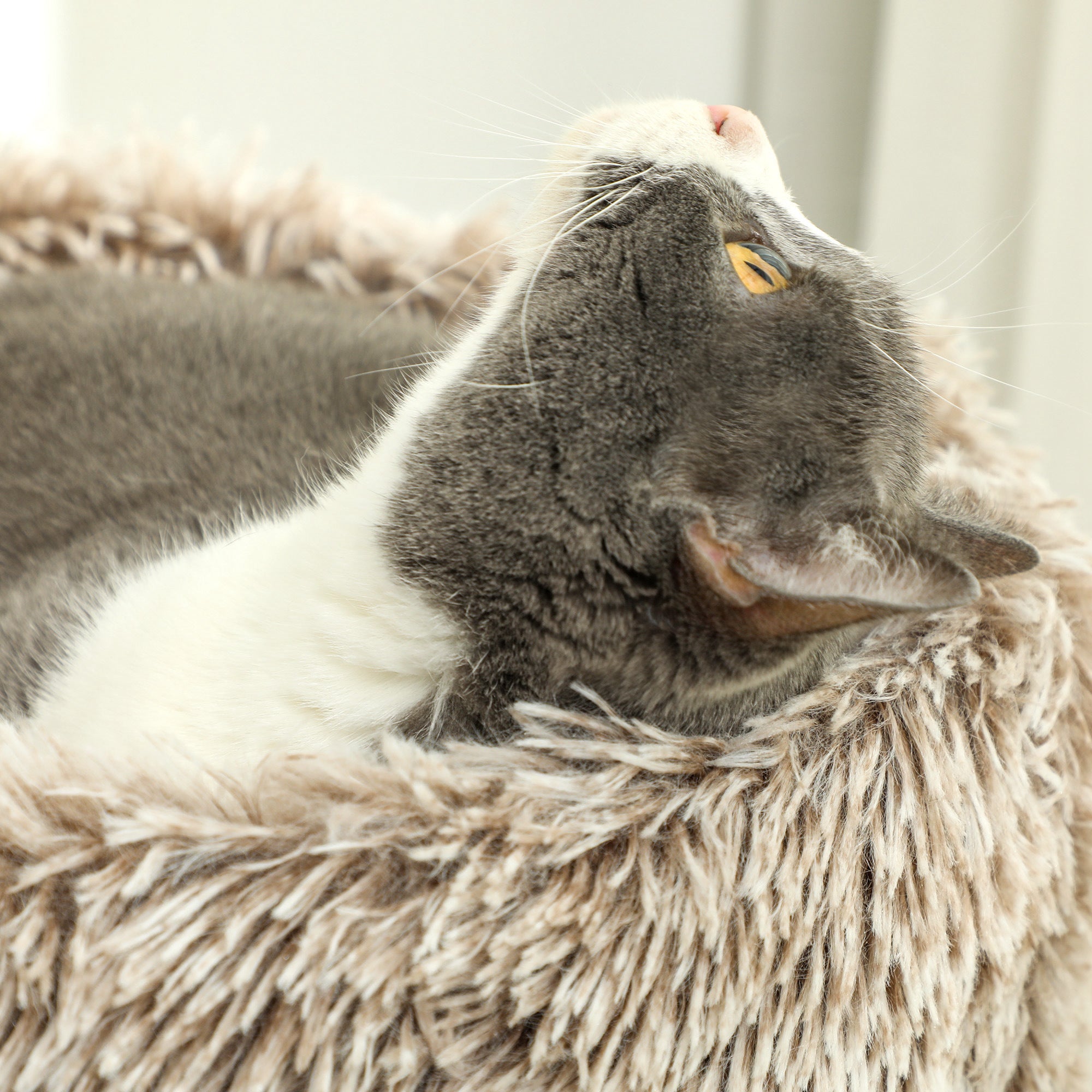 PawHut Katzenbaum, 87 cm, Katzenturm mit dickem Kratzpfosten, Plüschbett, für den Innenbereich, trägt bis zu 6 kg, Braun