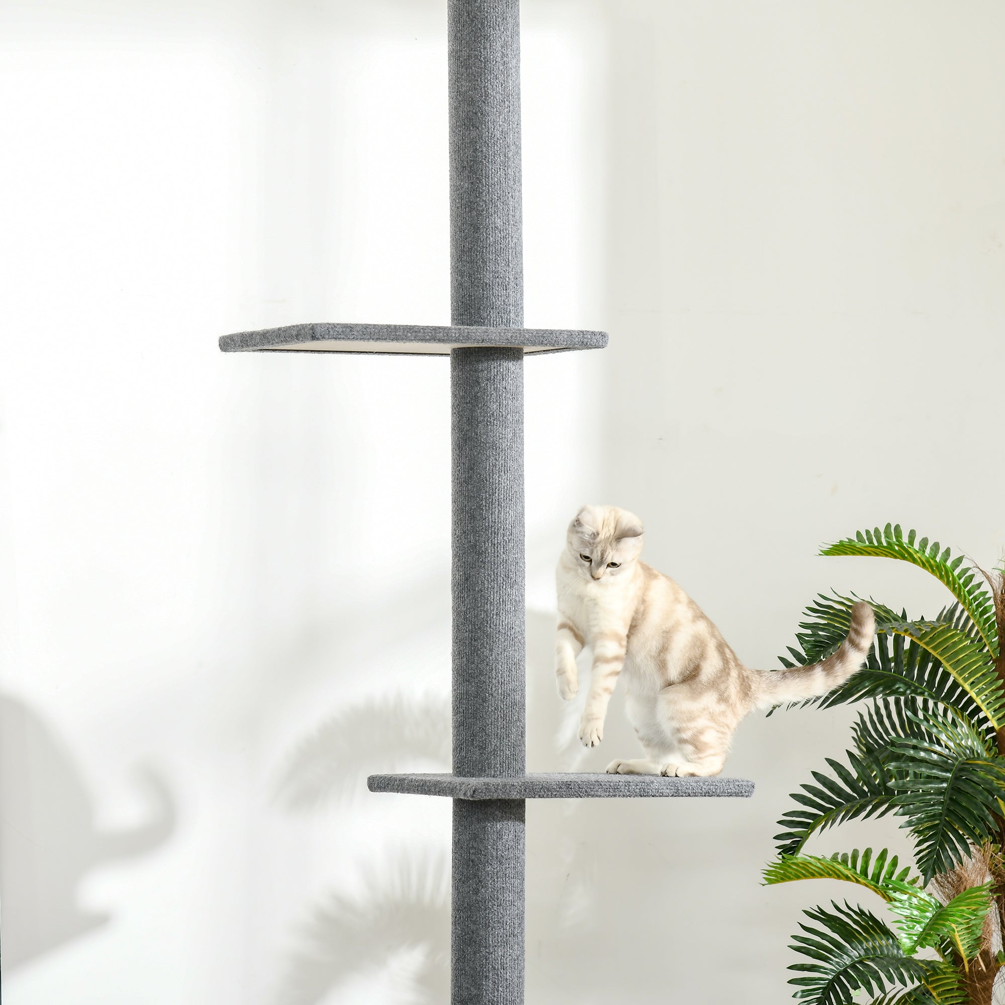 PawHut Kratzbaum Deckenhoch, 228-260 cm Höhenverstellbarer Katzenbaum Kletterbaum für Katzen mit 3 Ebenen, Katzenkratzbaum, Spielbaum vom Boden bis zur Decke Grau
