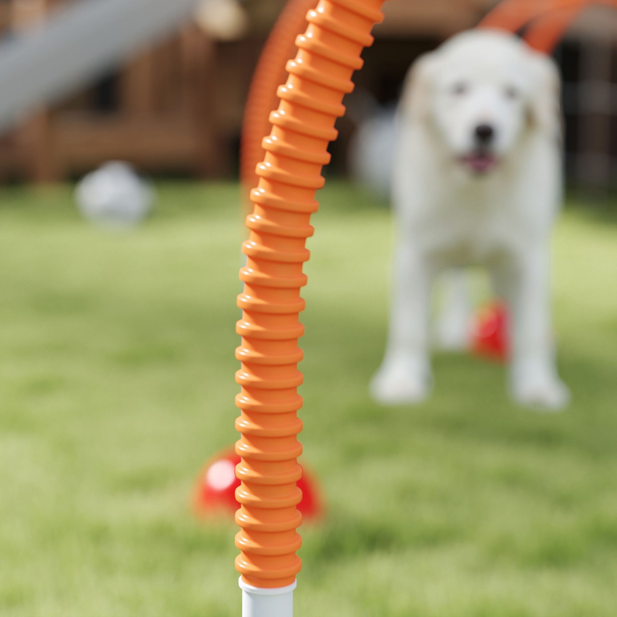 PawHut 4-teiliges Hunde-Agility-Trainingsgerät mit 4 Türen in verstellbarer Breite, Tragetasche, für Garten, Blau