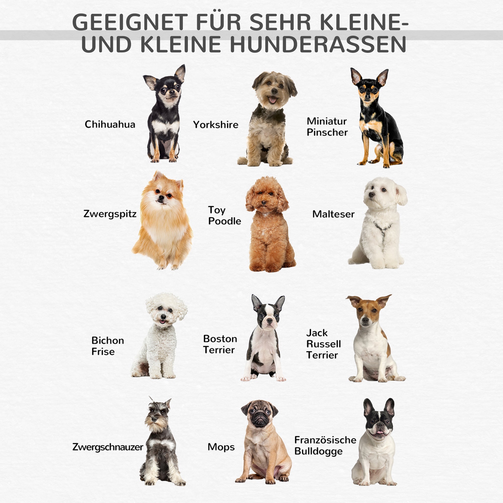 PawHut Hundesofa, Haustiersofa mit erhöhten Füßen, Hundecouch, Hundeliege mit Kissen, Hundebett, Katzensofa, Waschbar, Samt, Grau, 73,5 x 41 x 33 cm