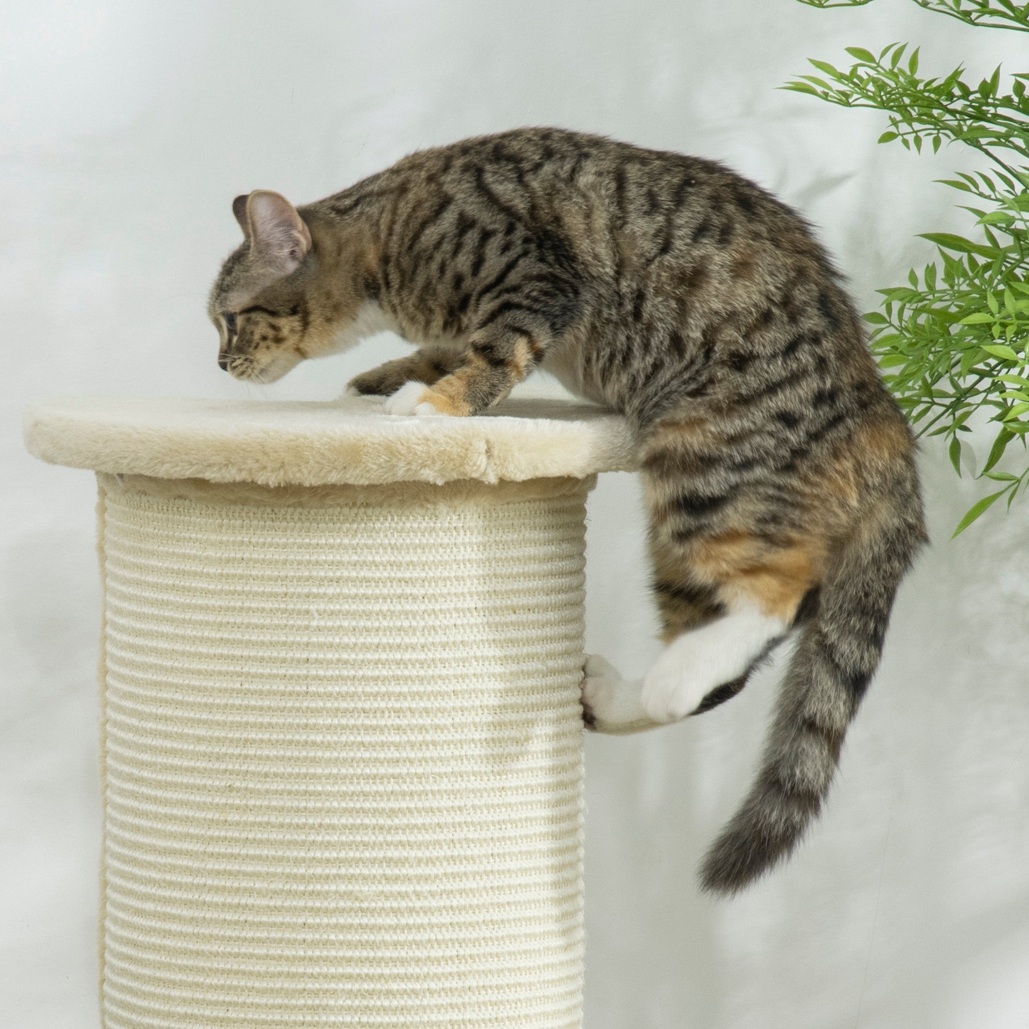 PawHut Kratzbrett für Katzen, Eckdesign, platzsparend, 35 cm x 35 cm x 85 cm, Cremeweiß
