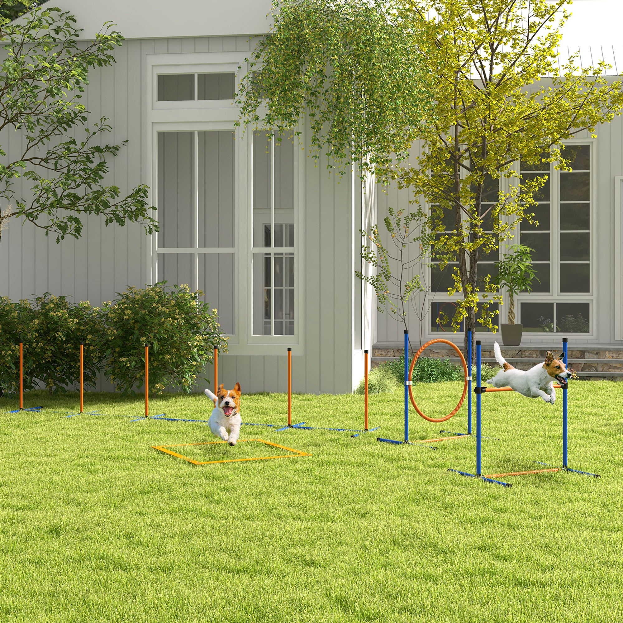 PawHut Hunde-Agiliy-Set Hundeparcours, 1 Reifen, 1 Hürde, 1 Slalom-Set, 352 cm x 66 cm x 69 cm, Blau + Rot