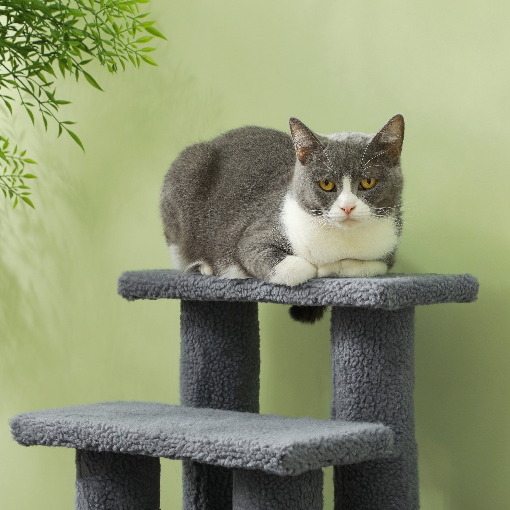 PawHut Tiertreppe Katzentreppe Hundetreppe Treppe für Katze und Hunde 4 Stufen Grau 63,5x43x60cm