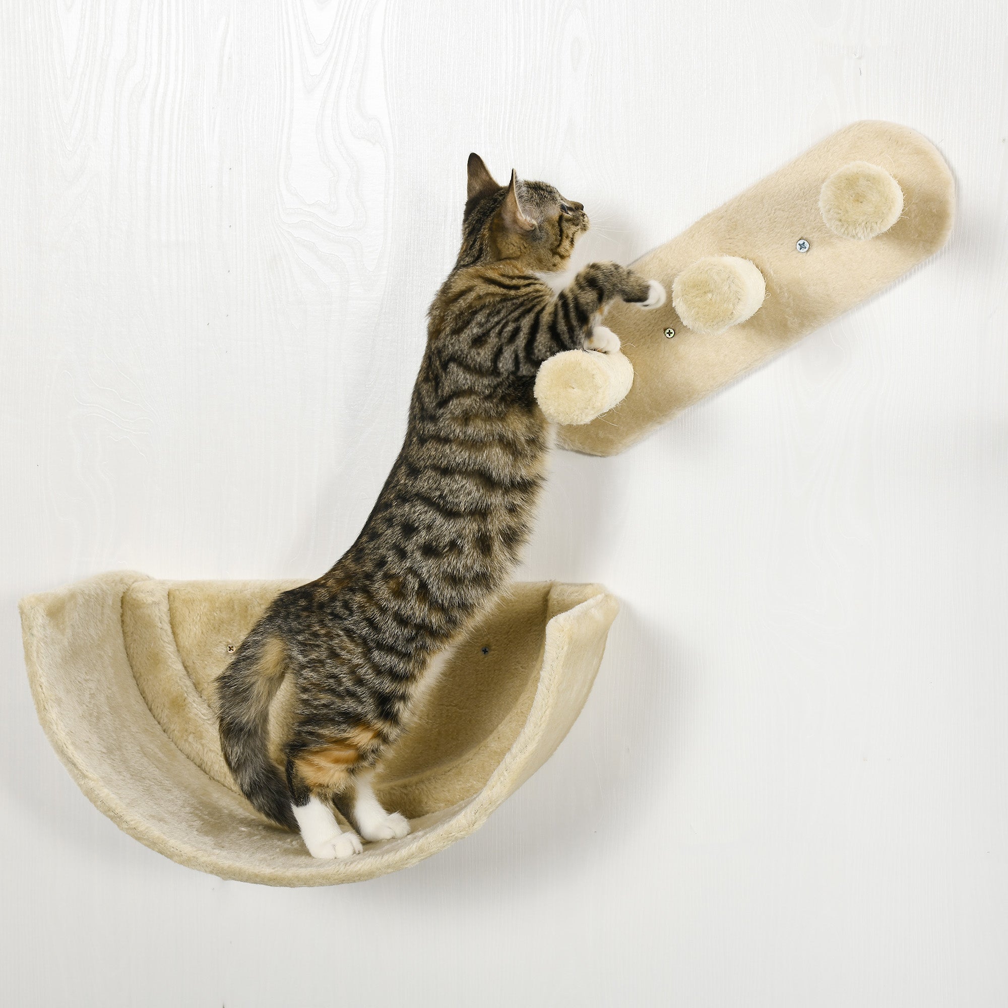 PawHut Kletterwand-Set für Katzen, 4-teilig, mit Katzentreppe, Hängematte, Plattform und Kratzbaum, Beige