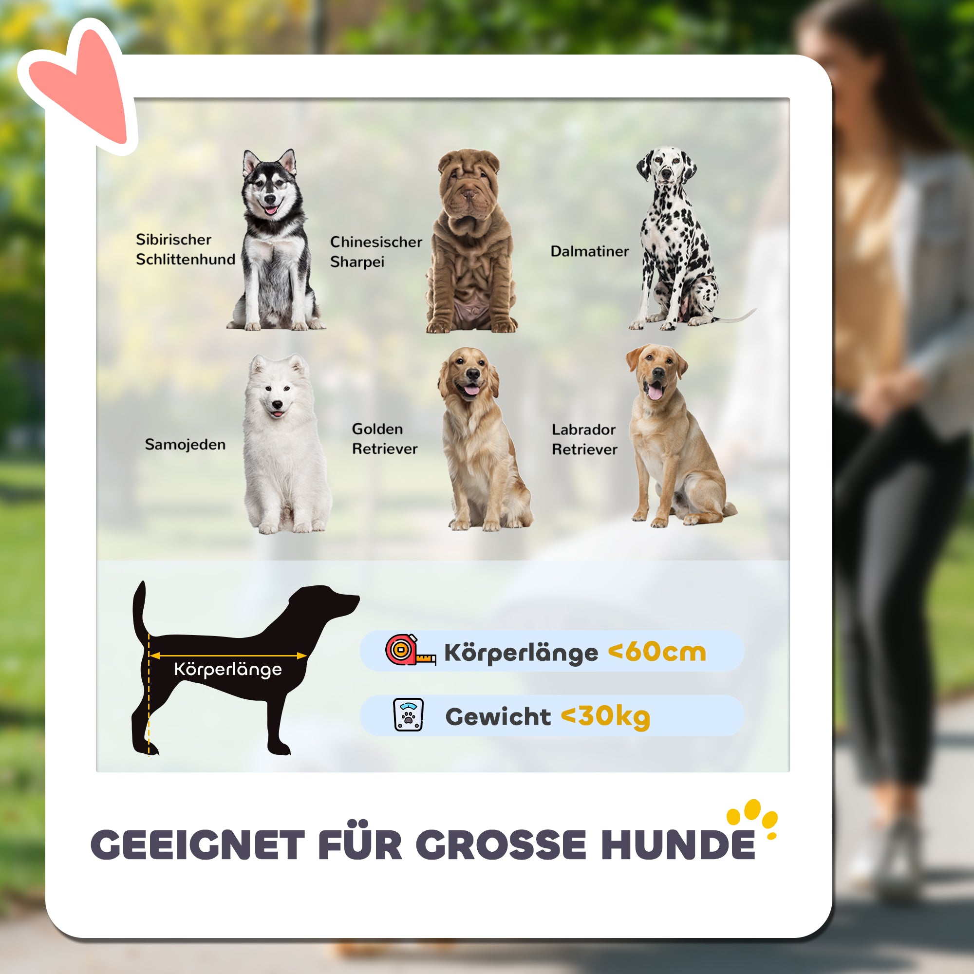 PawHut Hundewagen Hundebuggy klappbar für Hunde & Katzen bis 30 kg 110 x 65 x 102 cm Dunkelgrau